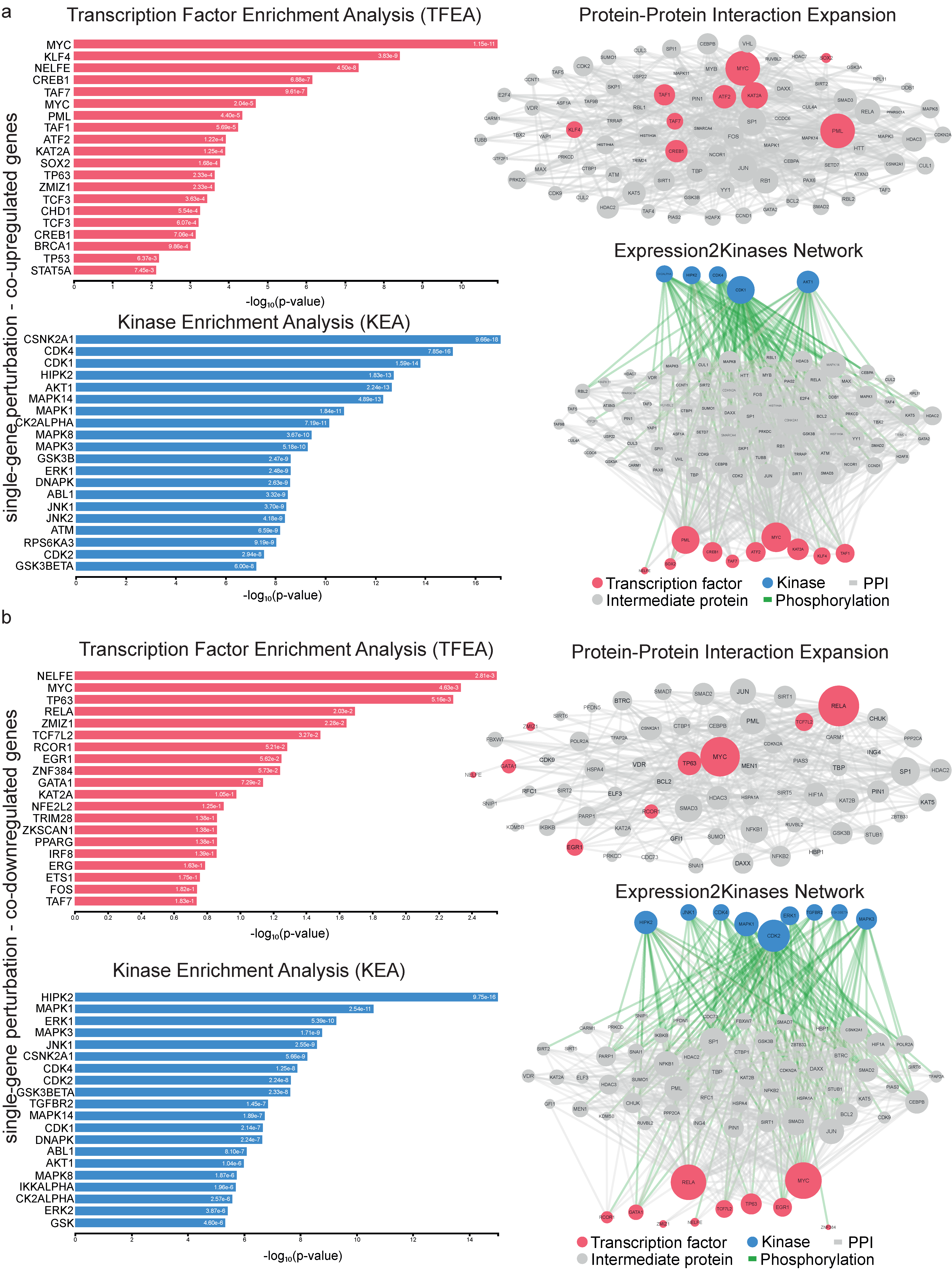 Ijms 24 06577 g006 Ijms 24 06577 g006