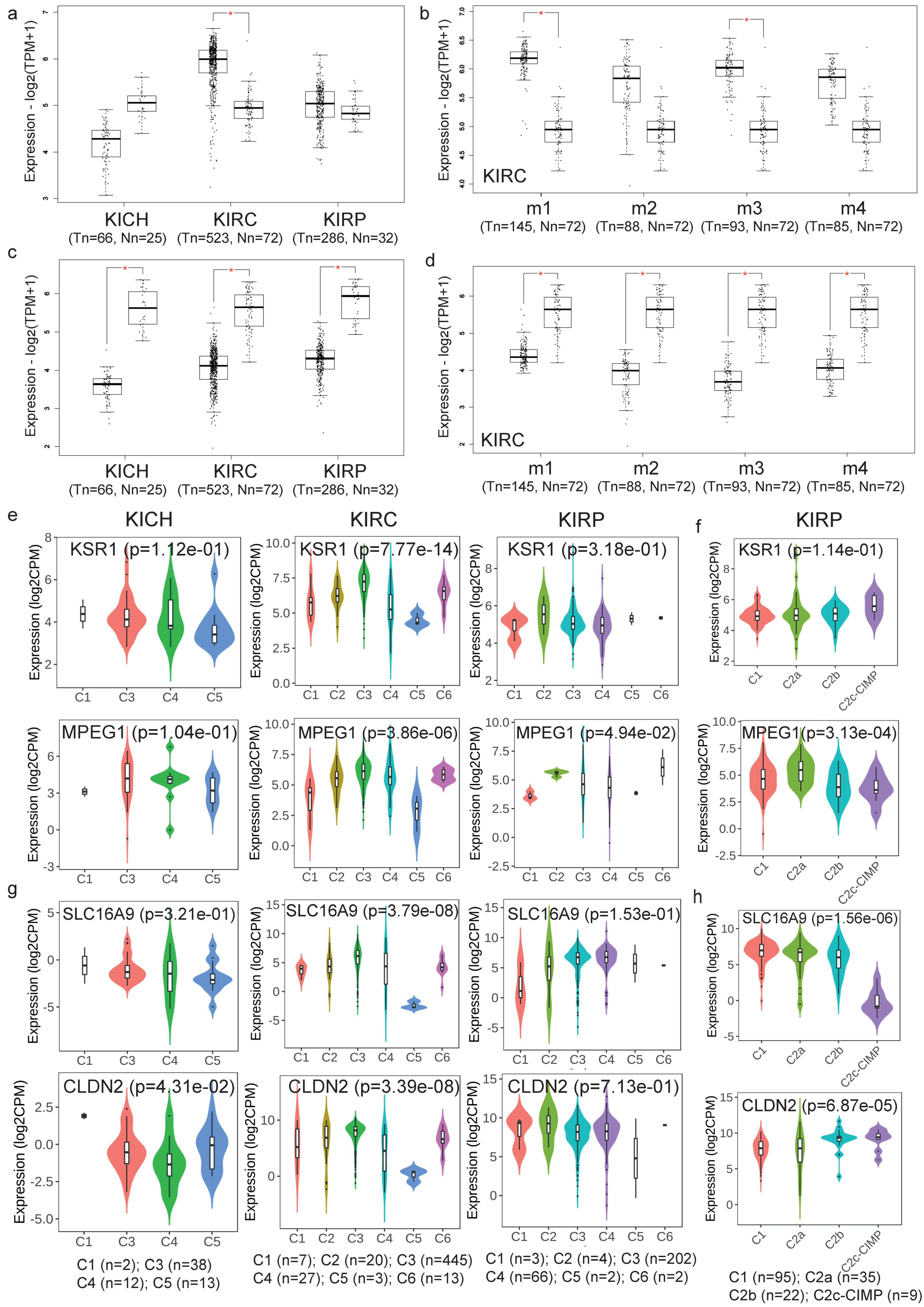 Ijms 24 06577 g007 Ijms 24 06577 g007