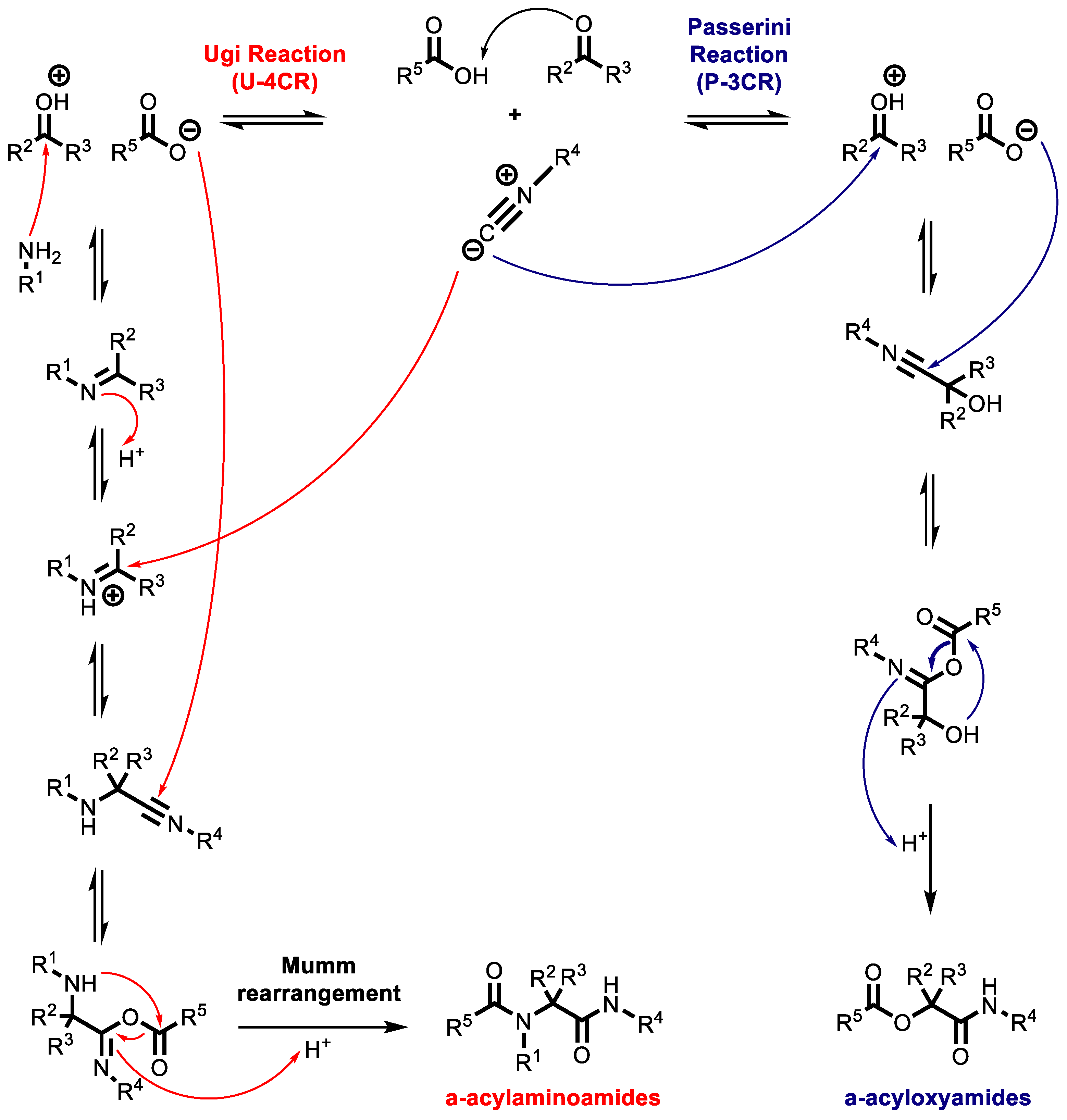 Ijms 24 06581 sch001