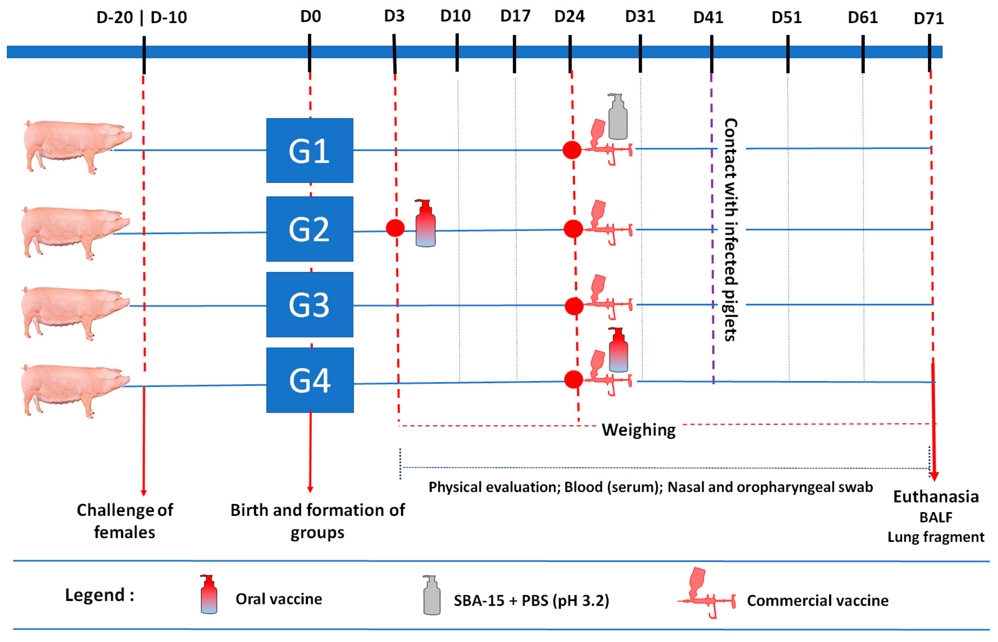 Ijms 24 06591 sch001