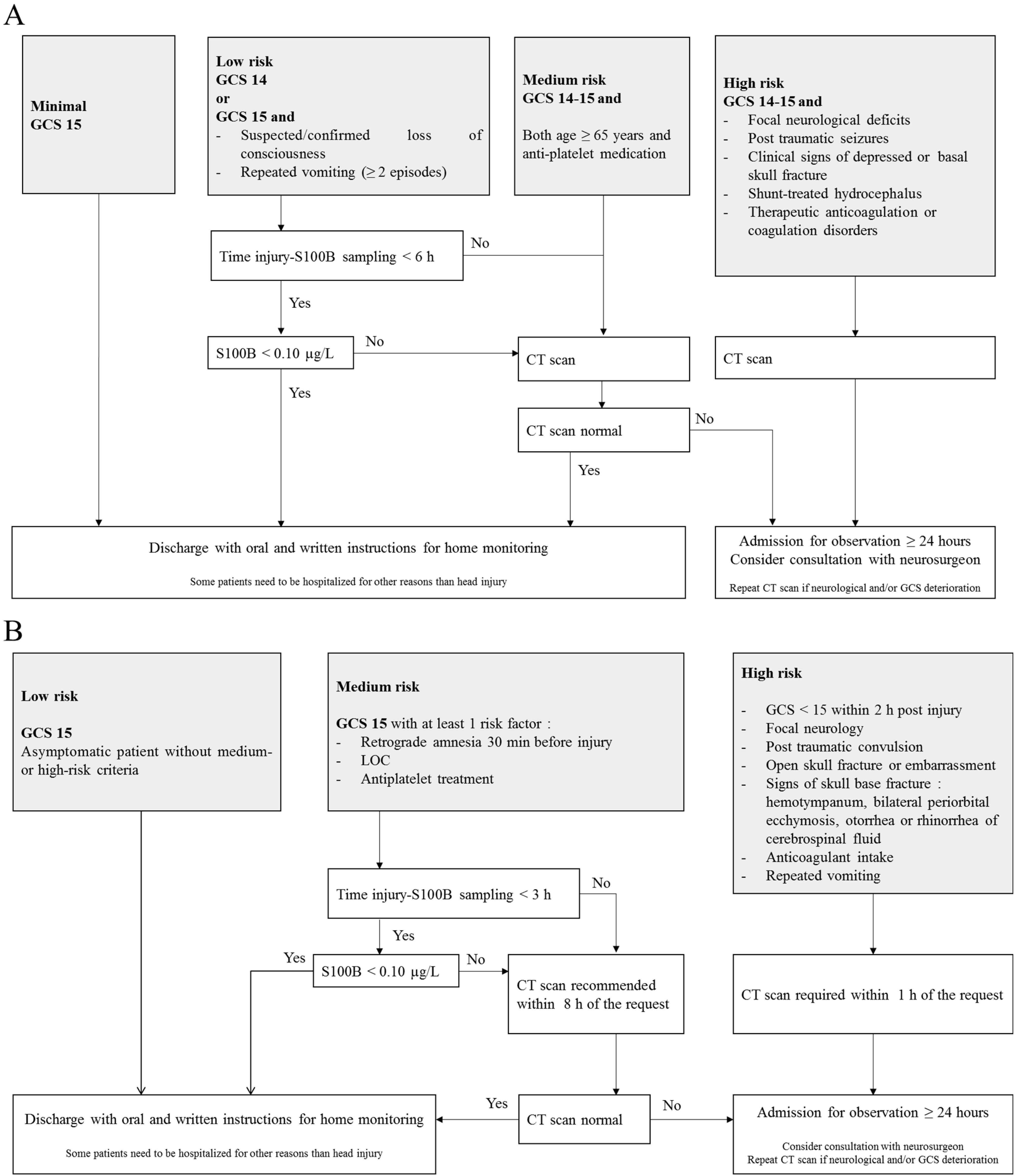 Ijms 24 06602 g001 Ijms 24 06602 g001