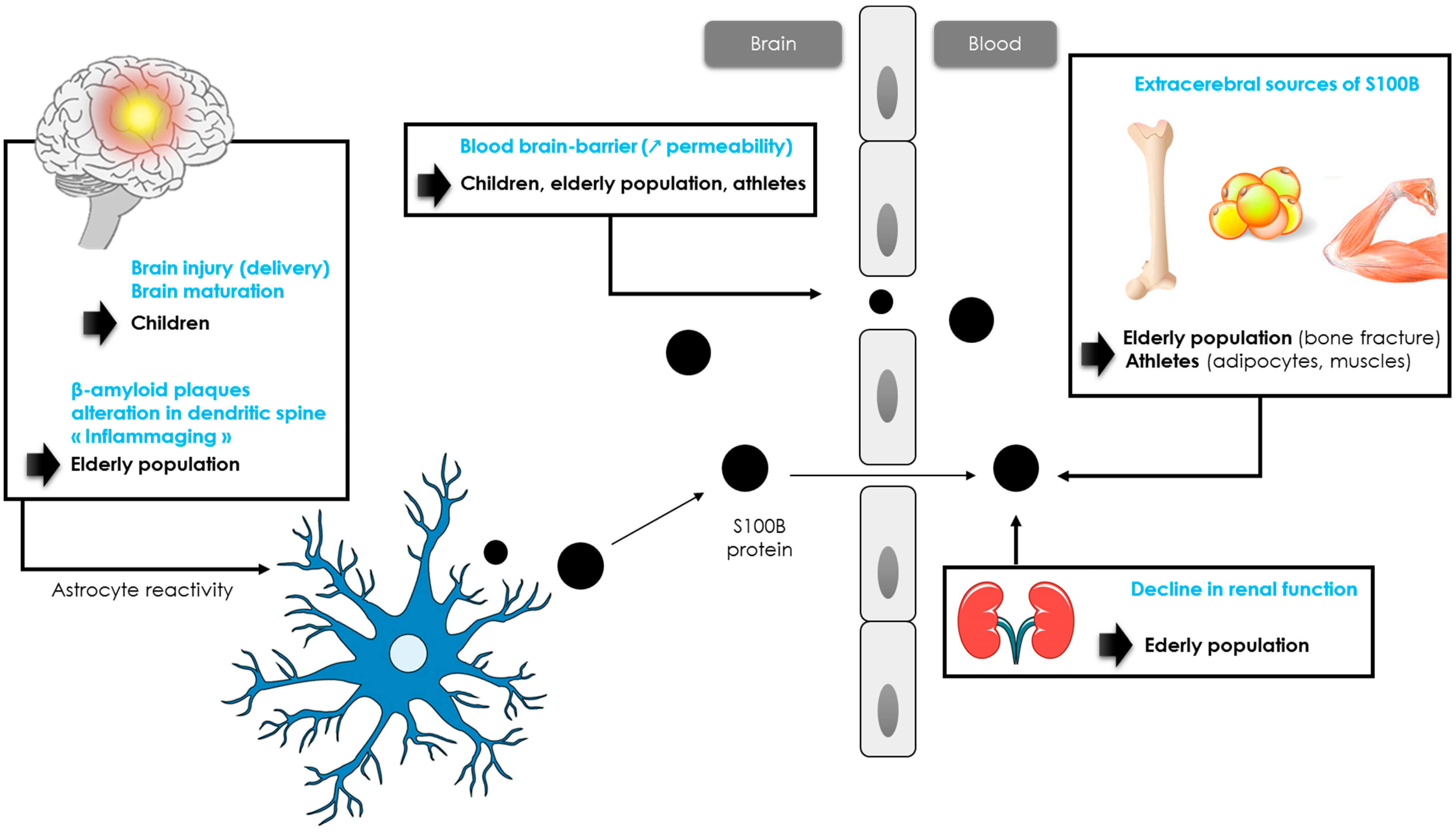 Ijms 24 06602 g002 Ijms 24 06602 g002