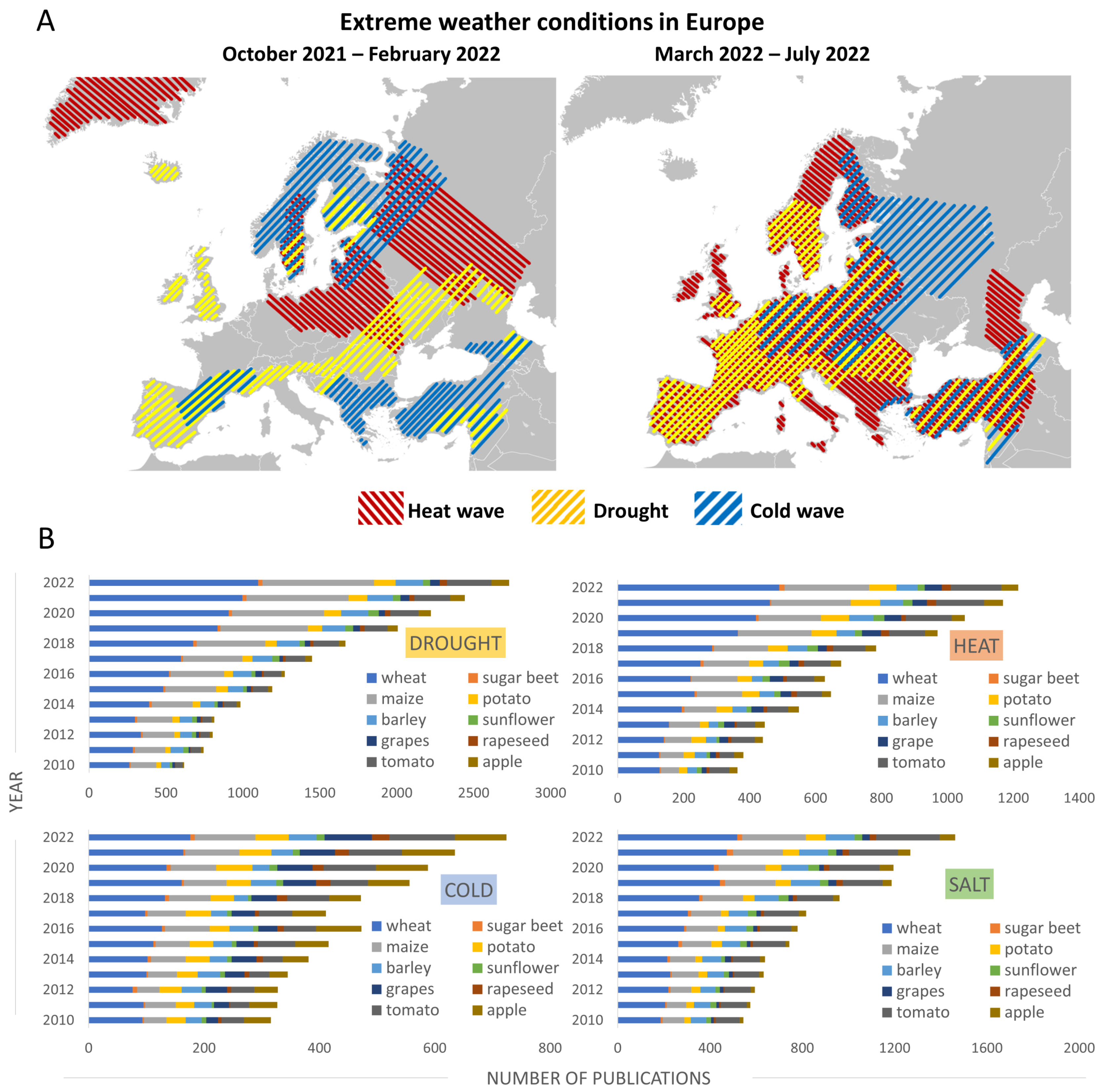 Ijms 24 06603 g001 Ijms 24 06603 g001