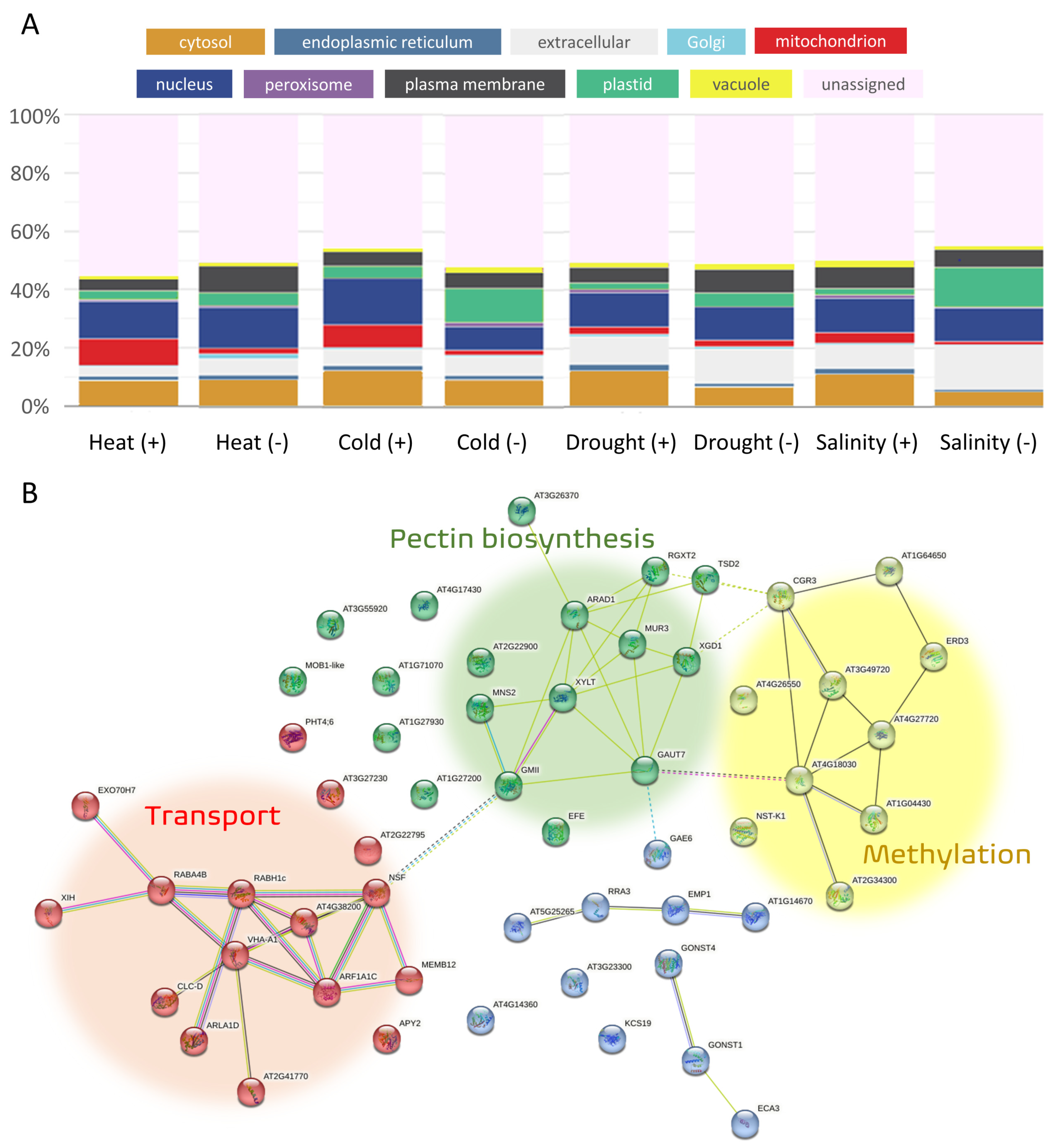 Ijms 24 06603 g005 Ijms 24 06603 g005