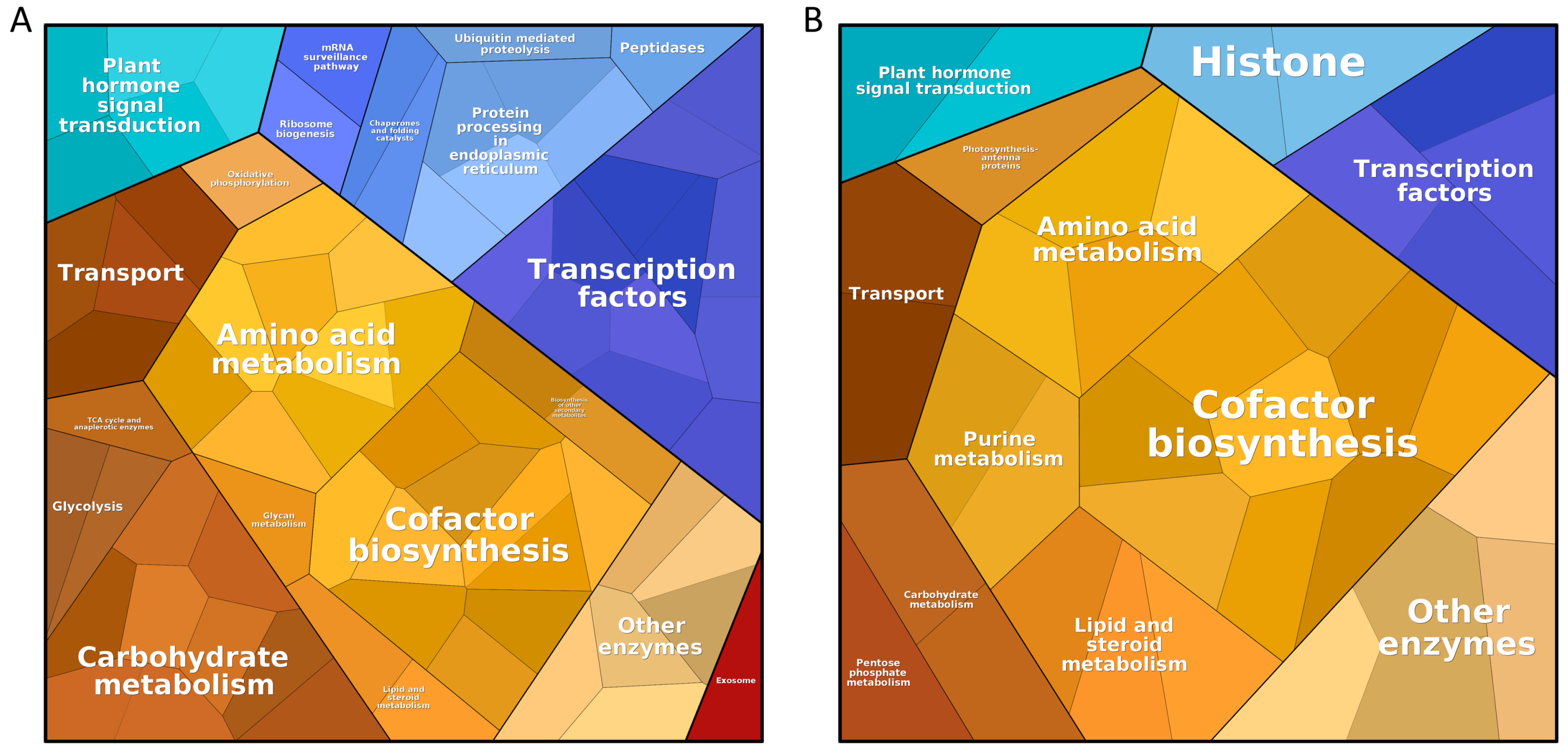 Ijms 24 06603 g006 Ijms 24 06603 g006