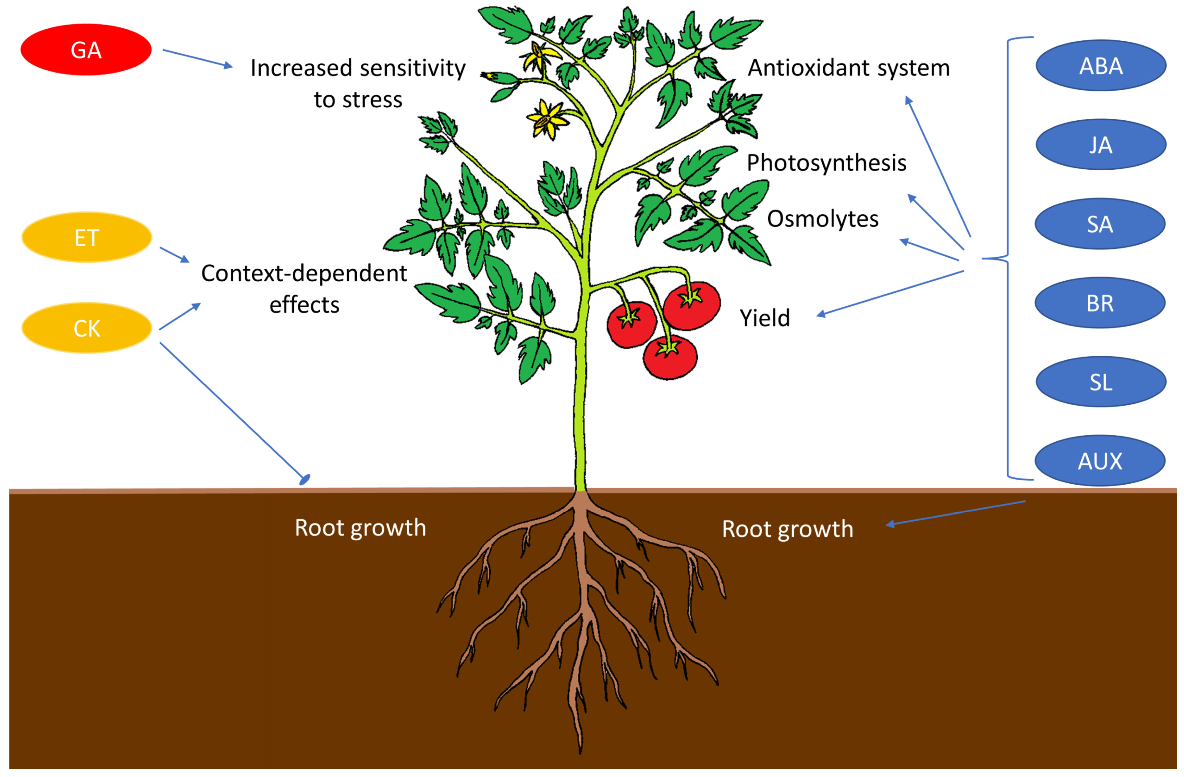Ijms 24 06603 g008 Ijms 24 06603 g008
