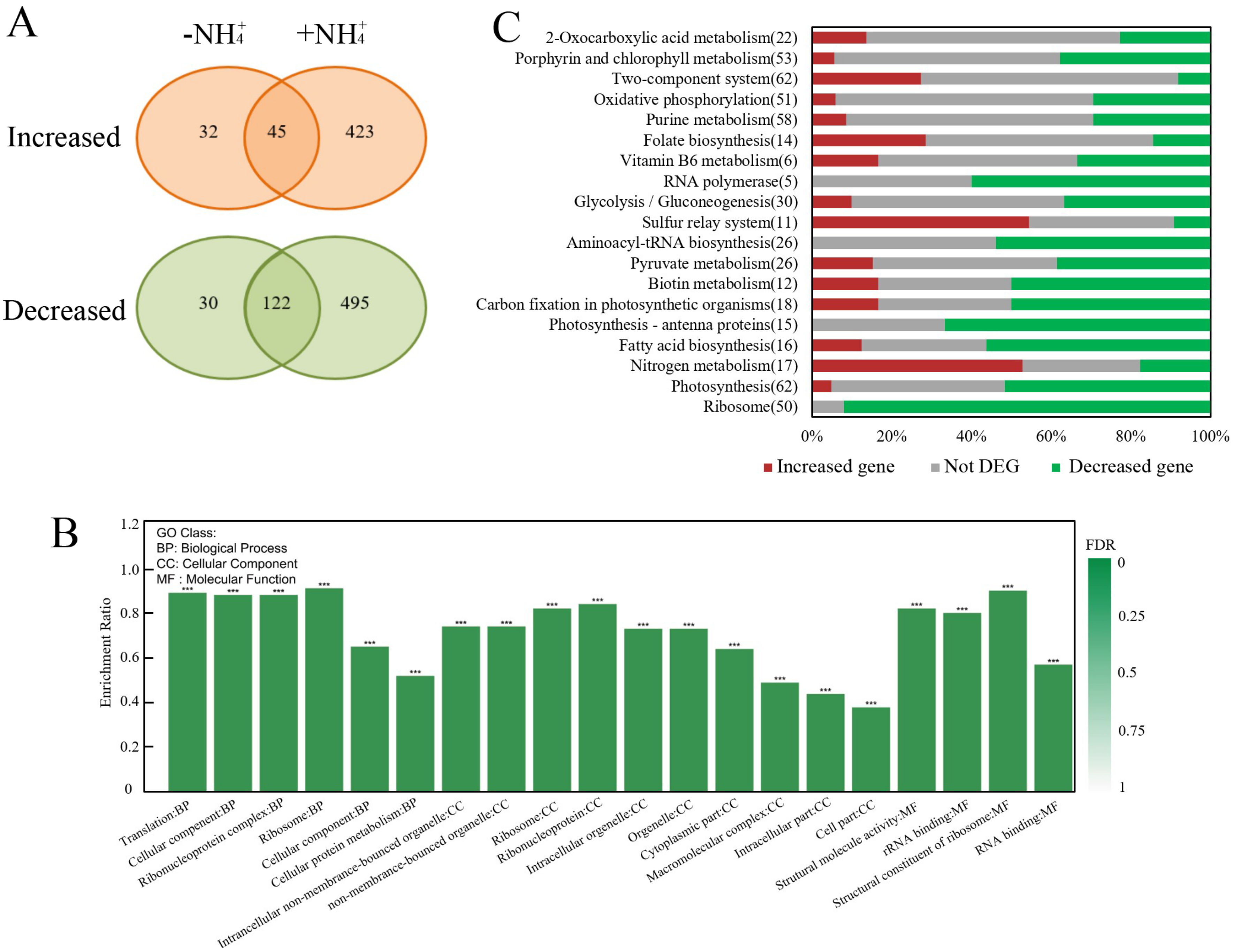 Ijms 24 06606 g002 Ijms 24 06606 g002