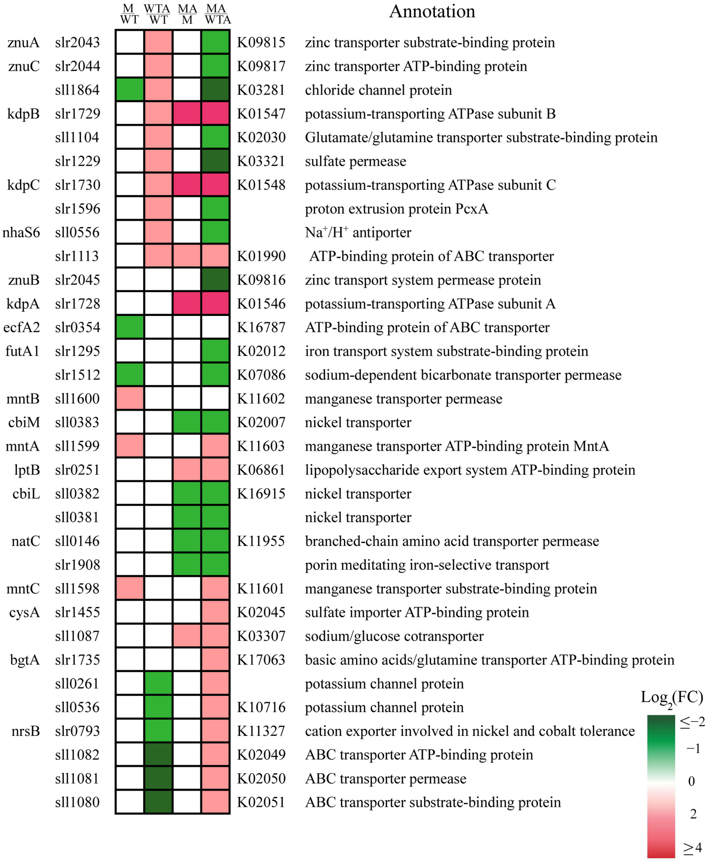 Ijms 24 06606 g005 Ijms 24 06606 g005