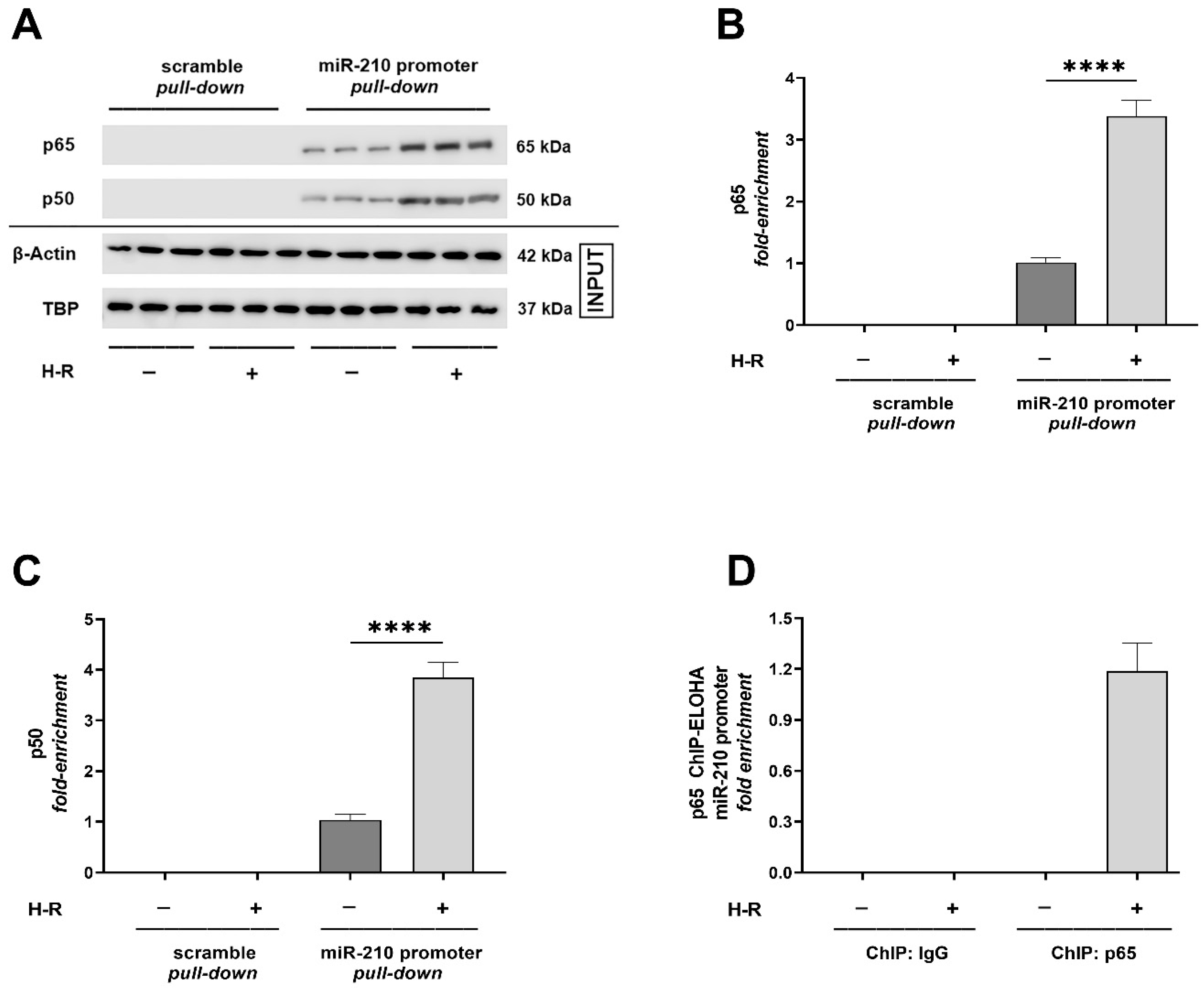 Ijms 24 06618 g001 Ijms 24 06618 g001