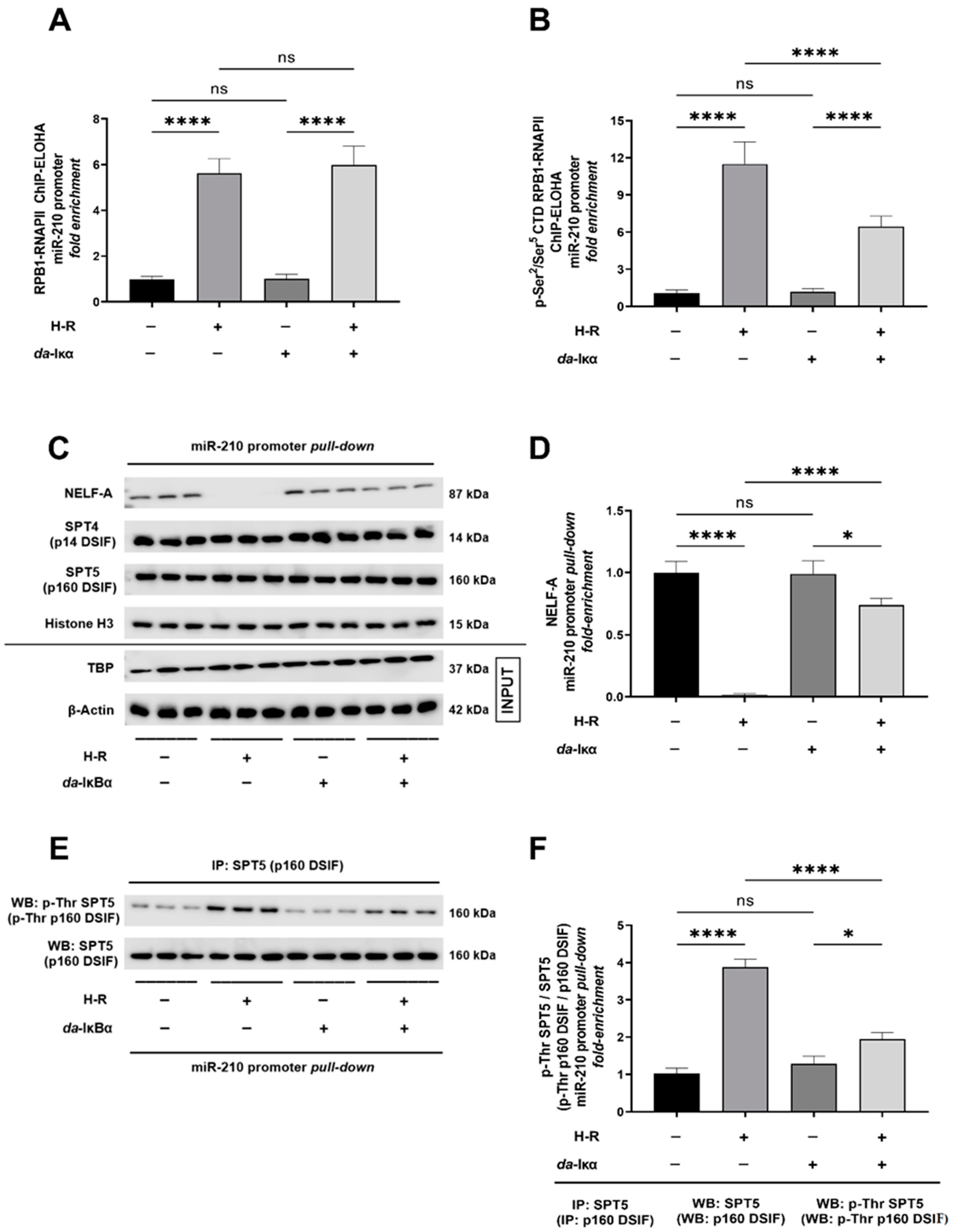 Ijms 24 06618 g004 Ijms 24 06618 g004