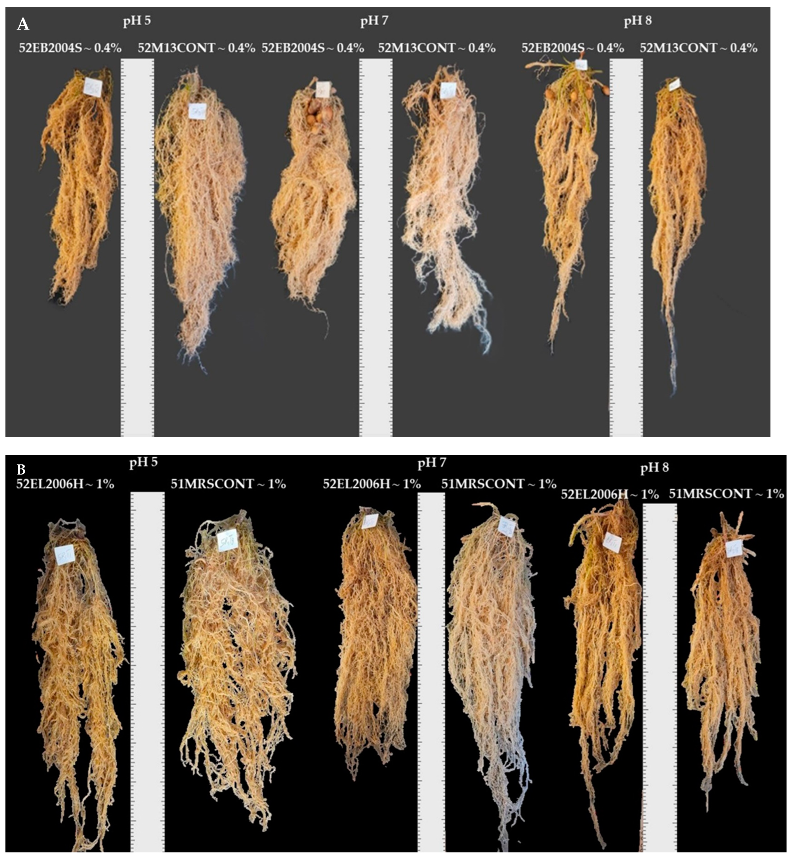 Ijms 24 06620 g003a Ijms 24 06620 g003a