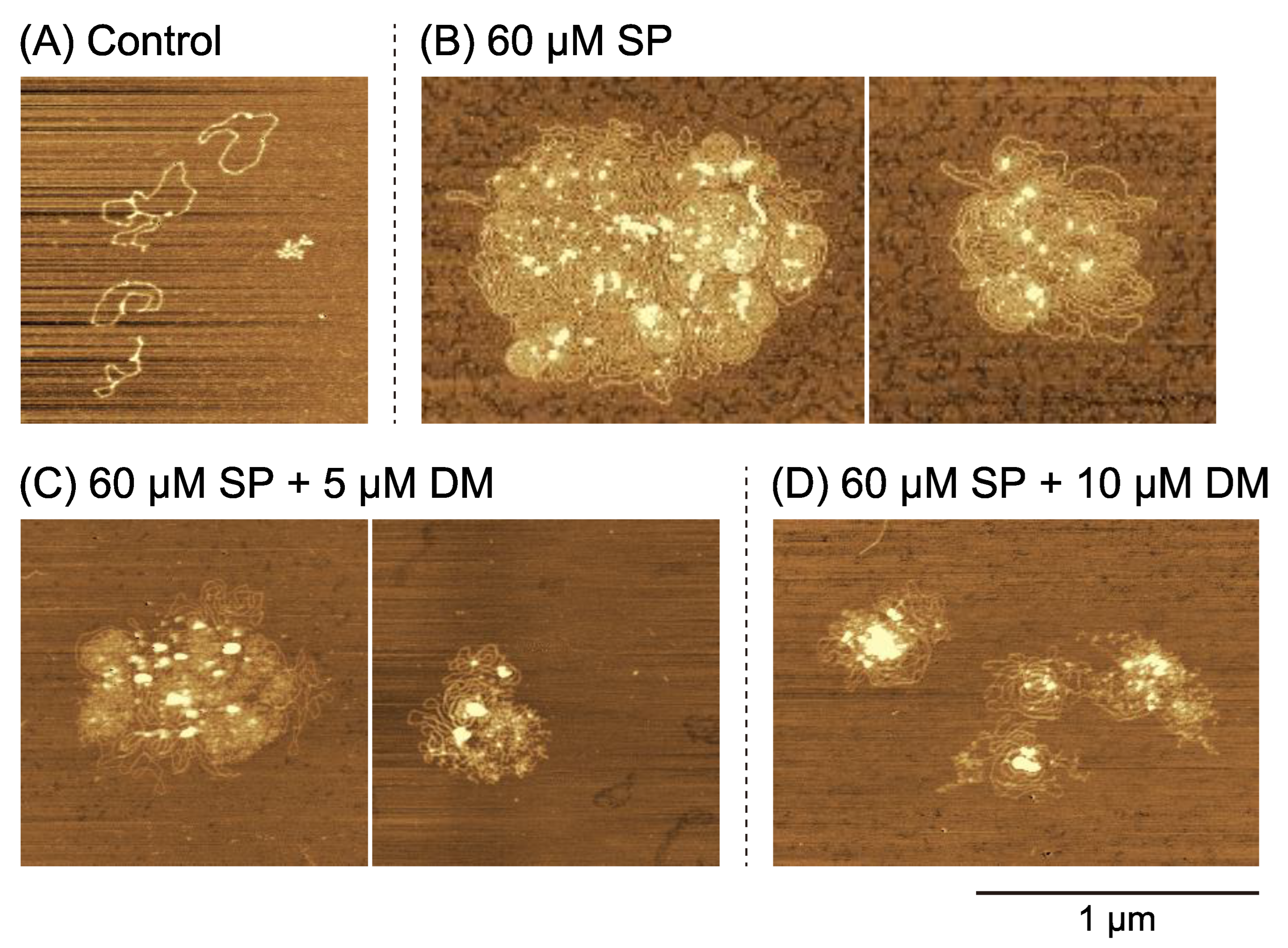 Ijms 24 06631 g003 Ijms 24 06631 g003