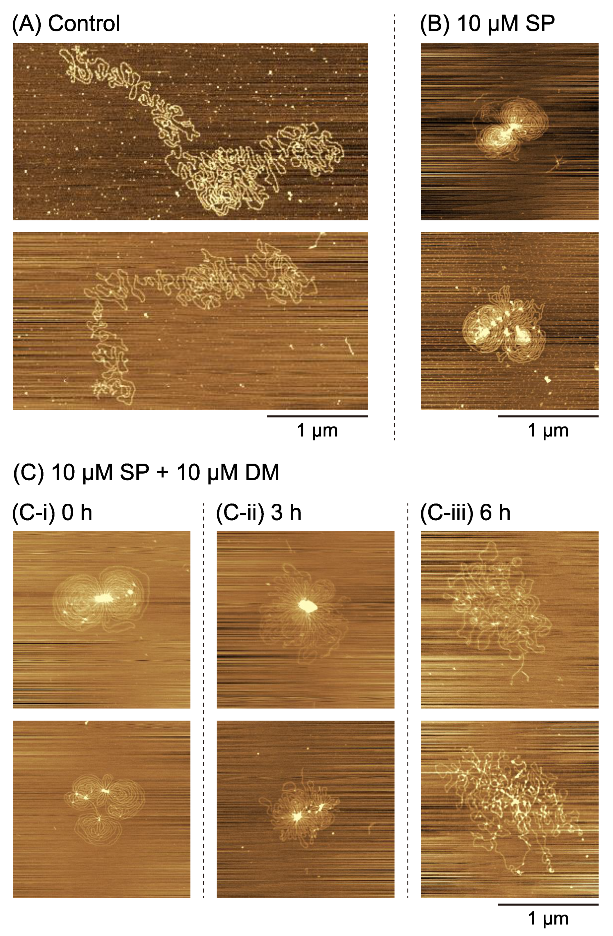 Ijms 24 06631 g004 Ijms 24 06631 g004