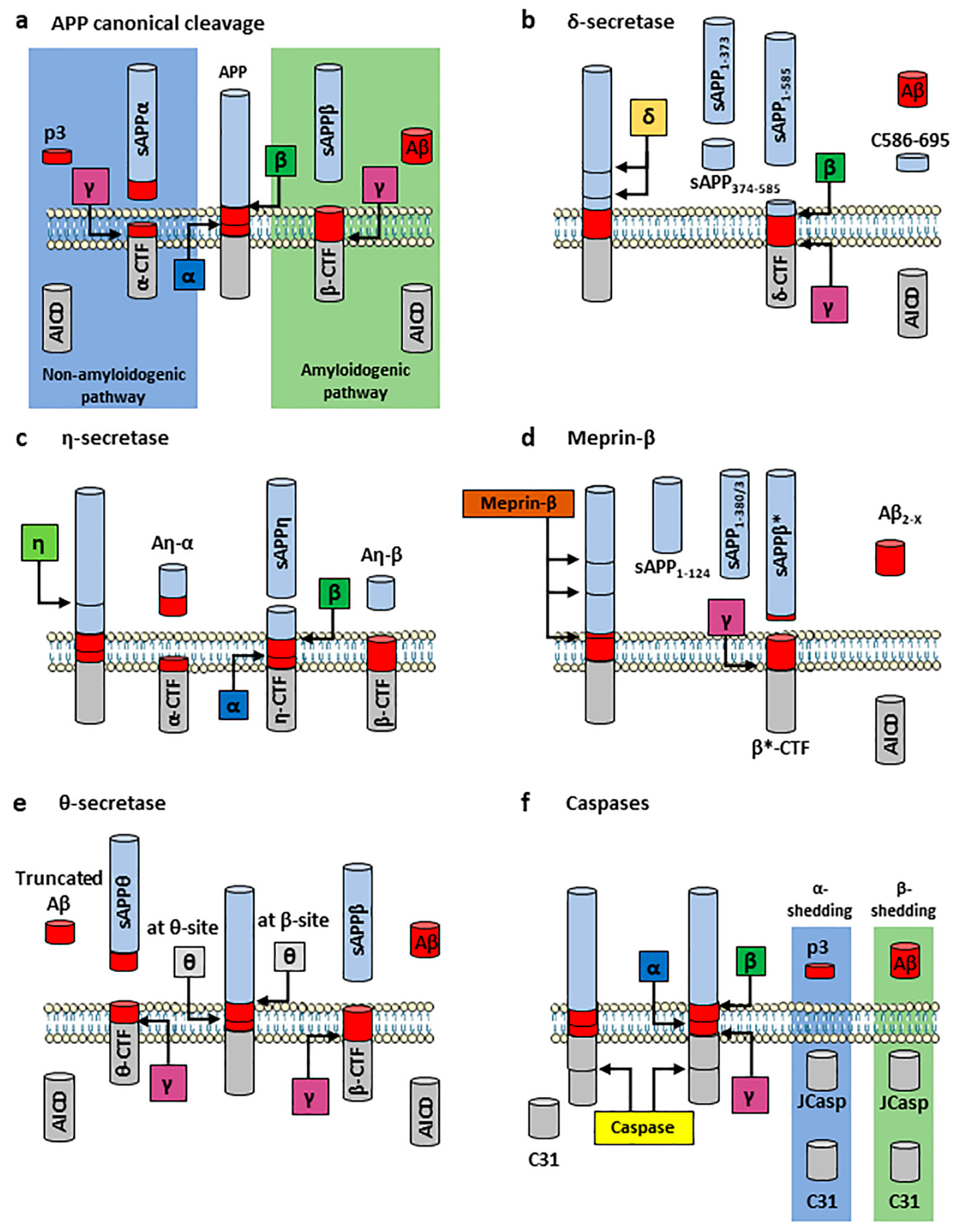 Ijms 24 06639 g002 Ijms 24 06639 g002