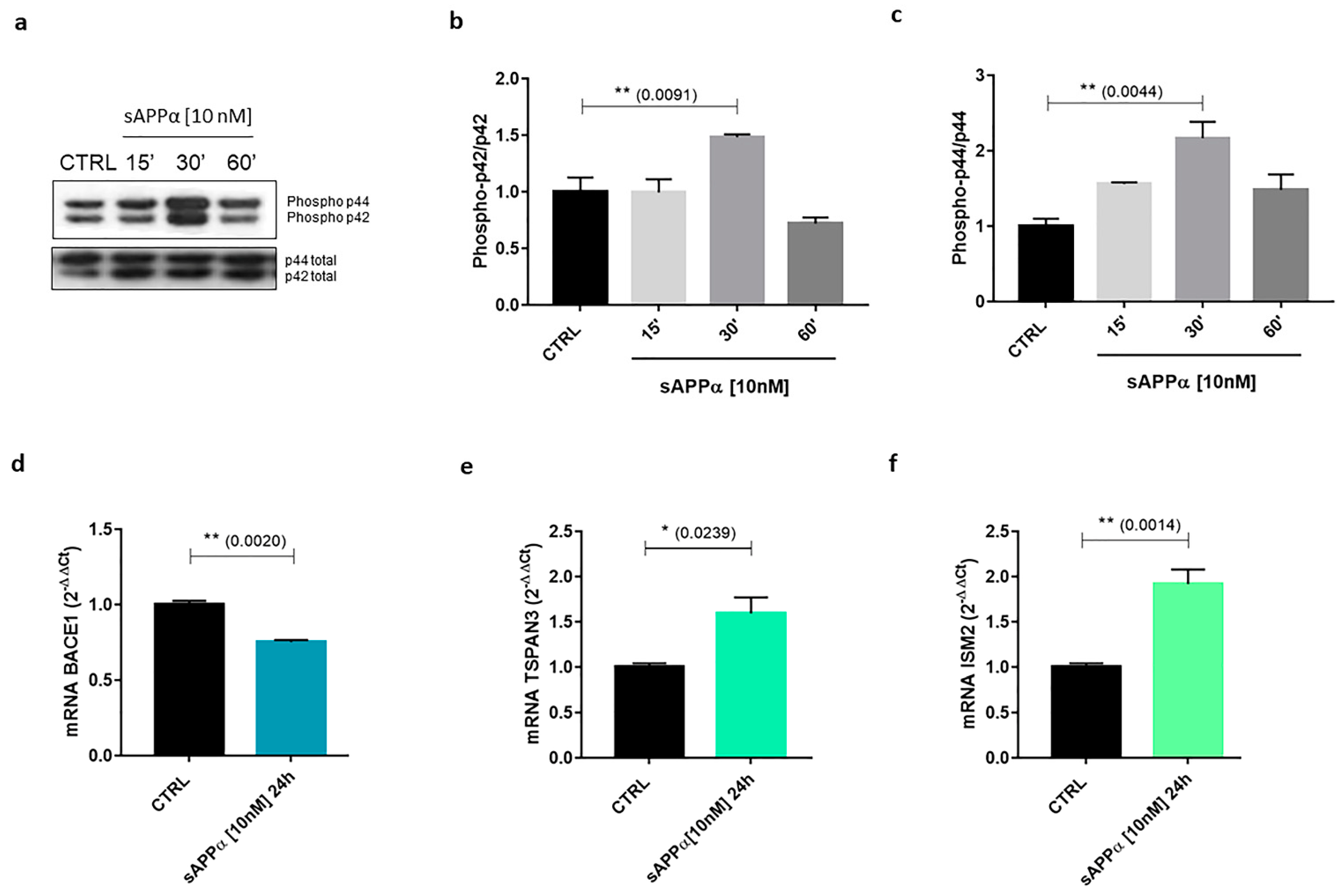 Ijms 24 06639 g004 Ijms 24 06639 g004
