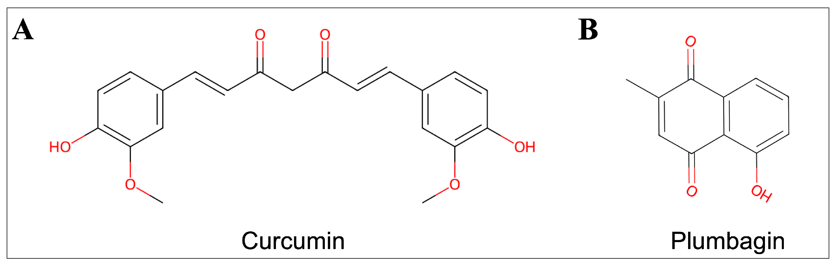 Ijms 24 06651 g001 Ijms 24 06651 g001