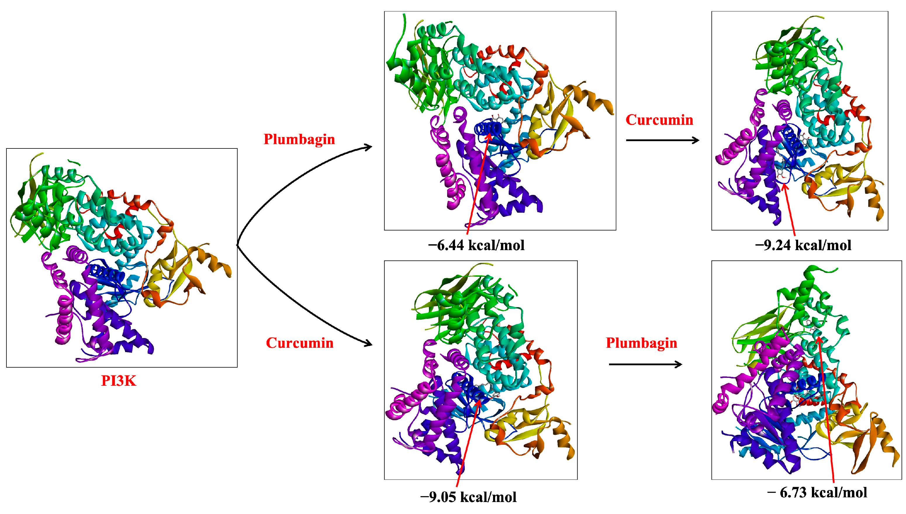Ijms 24 06651 g002 Ijms 24 06651 g002