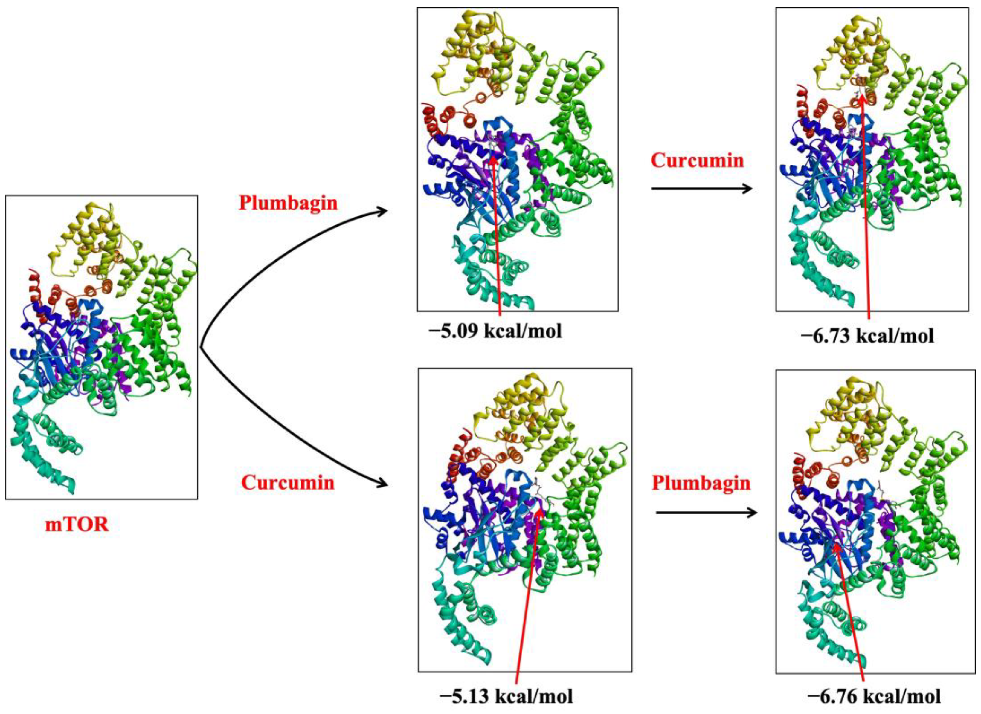 Ijms 24 06651 g004 Ijms 24 06651 g004