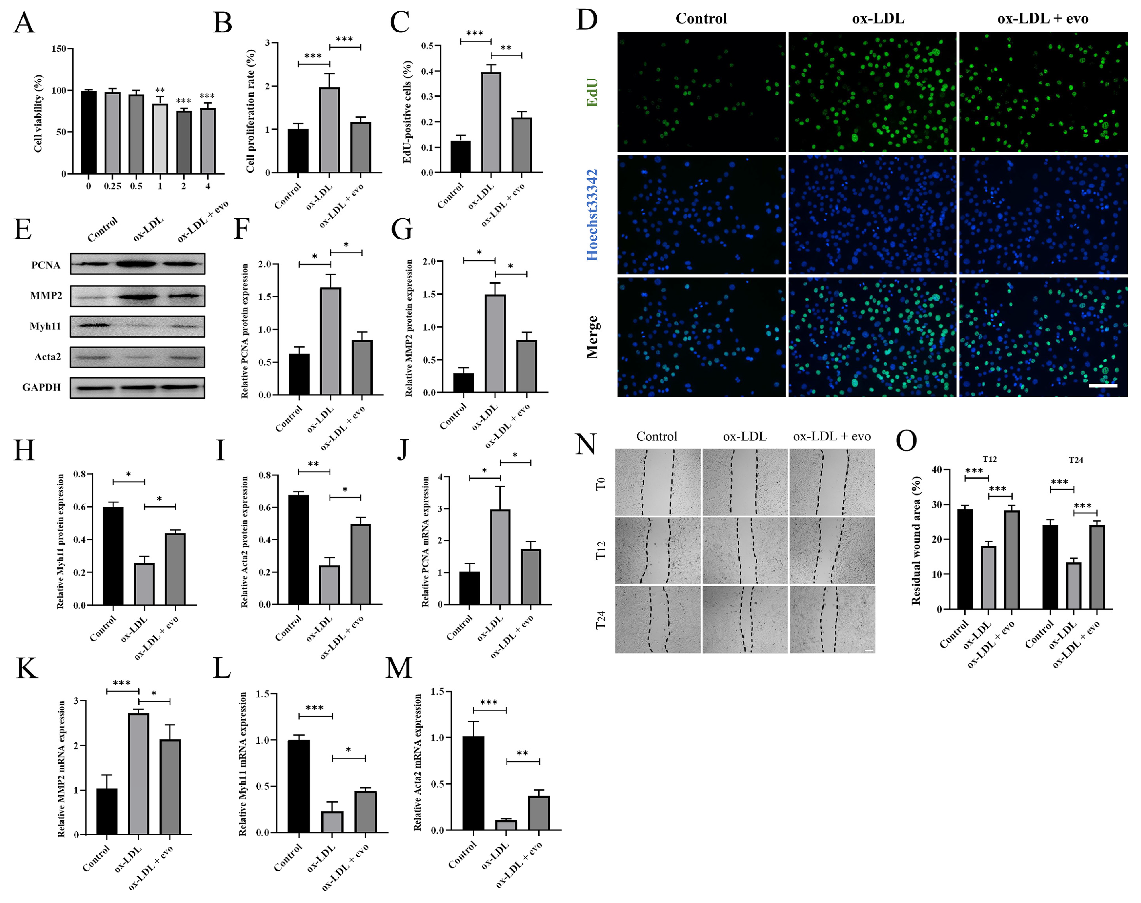 Ijms 24 06653 g003 Ijms 24 06653 g003