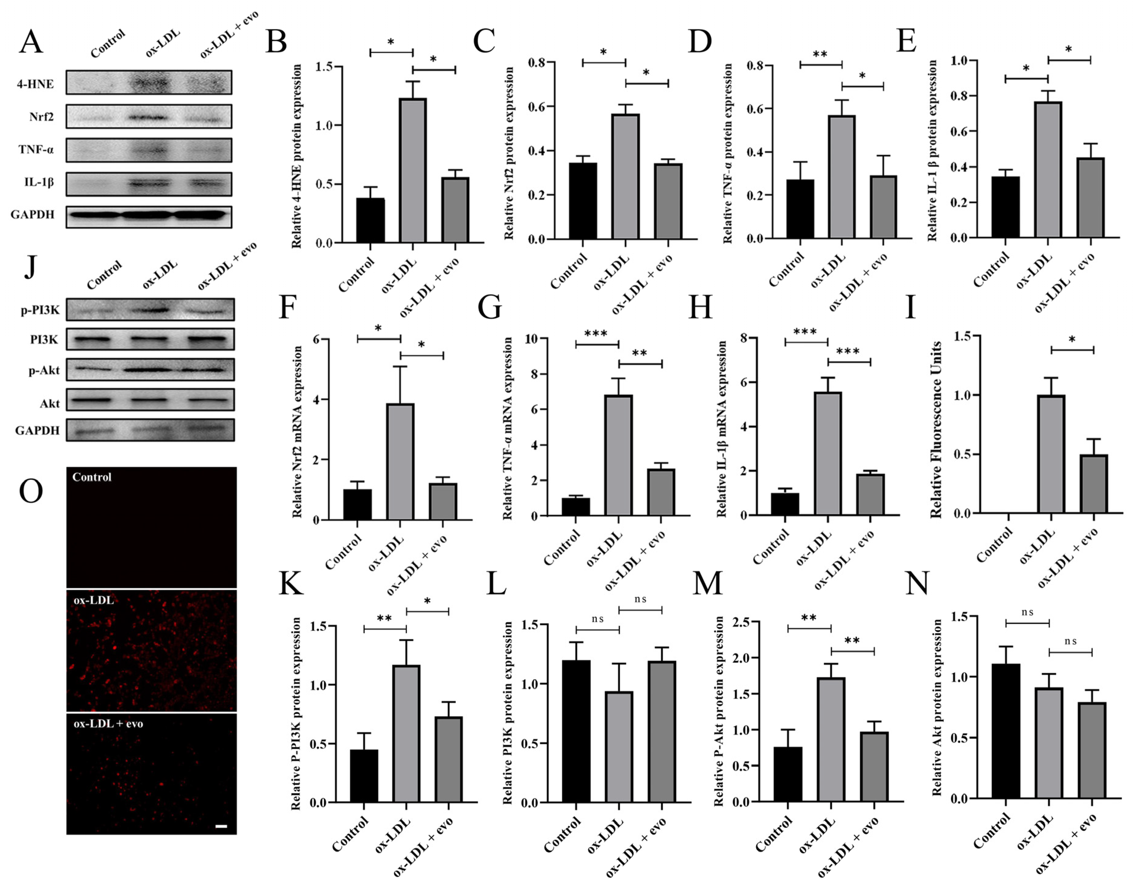 Ijms 24 06653 g005 Ijms 24 06653 g005