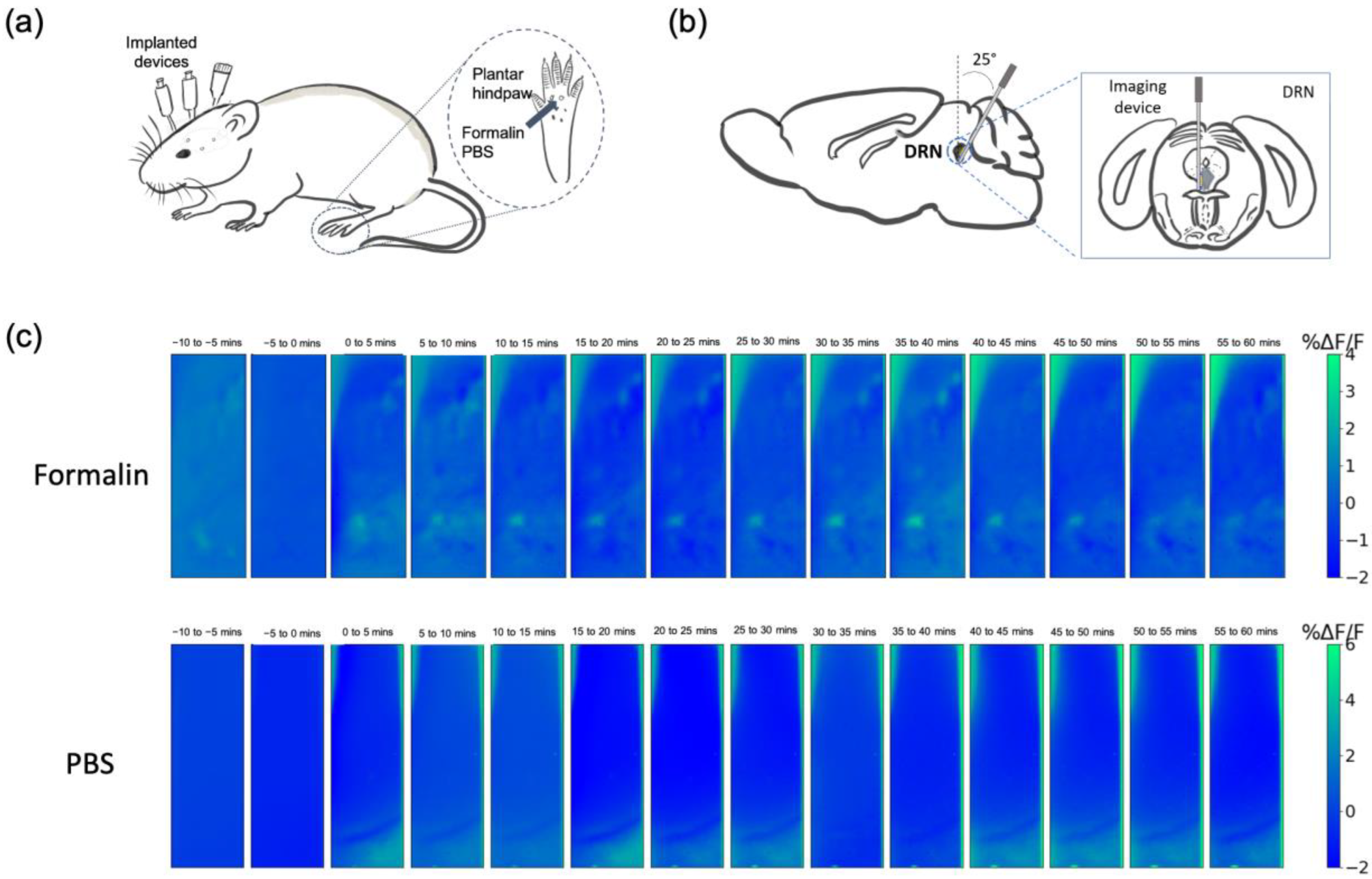 Ijms 24 06654 g002 Ijms 24 06654 g002