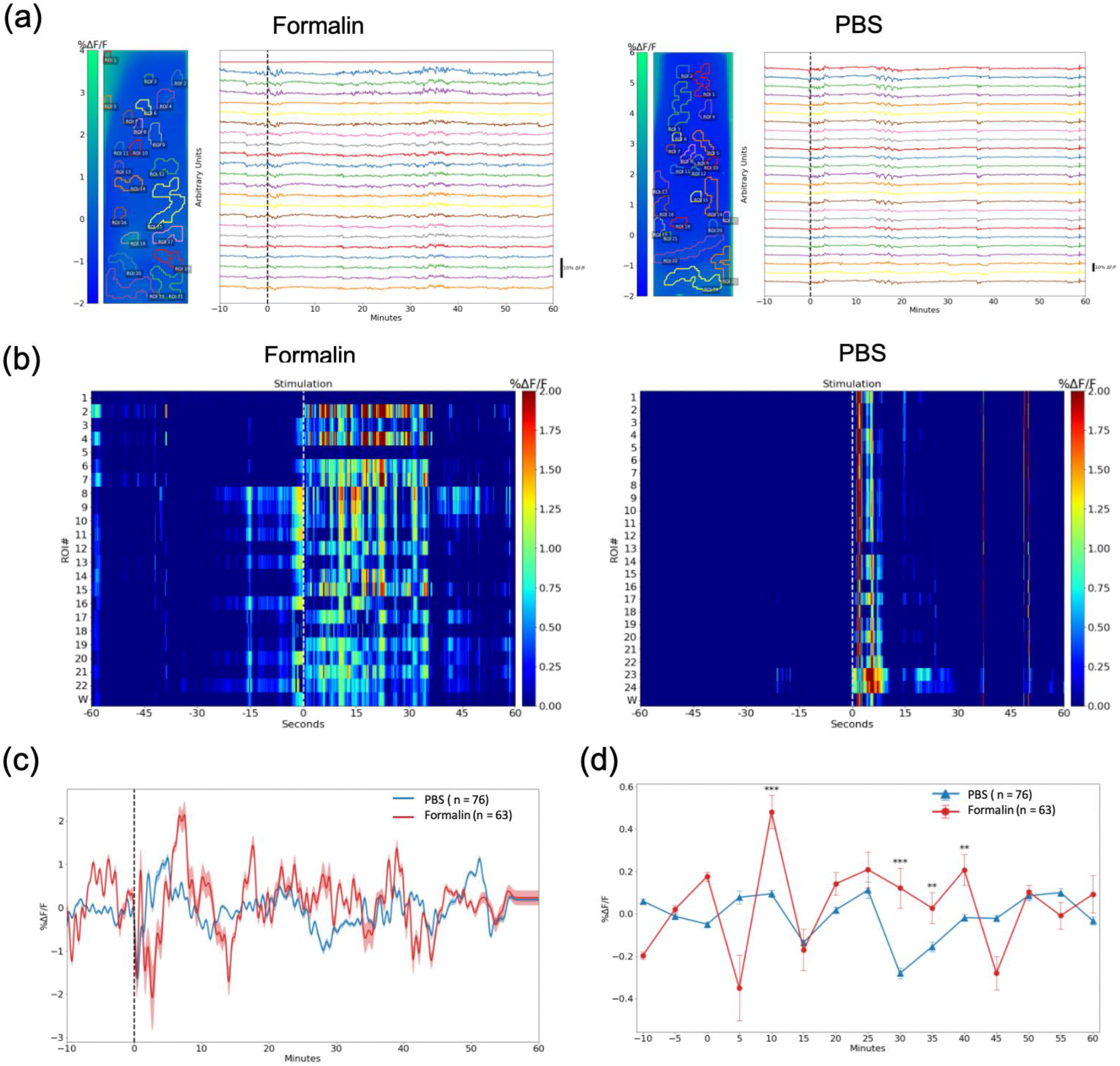 Ijms 24 06654 g003 Ijms 24 06654 g003