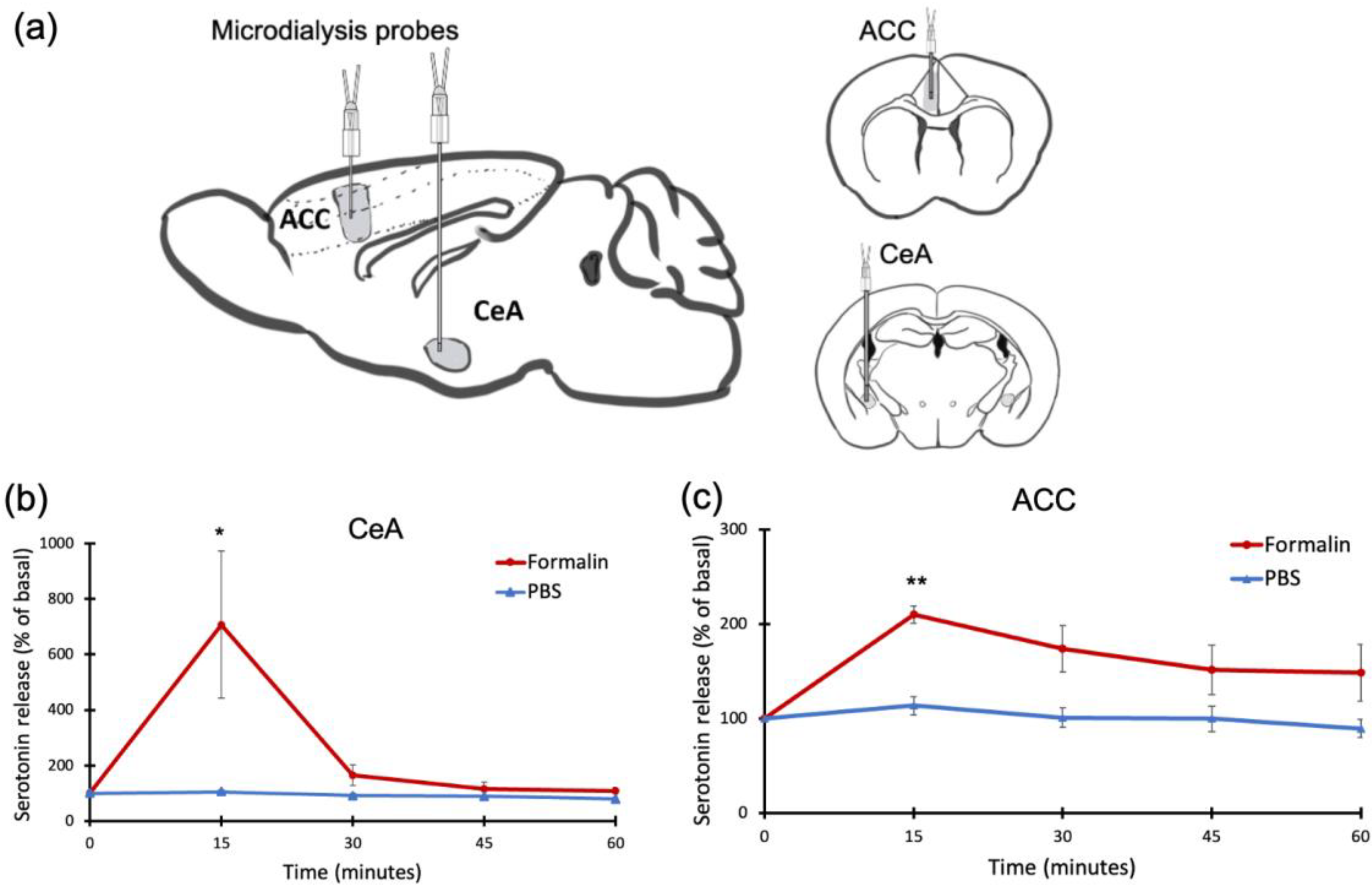 Ijms 24 06654 g004 Ijms 24 06654 g004