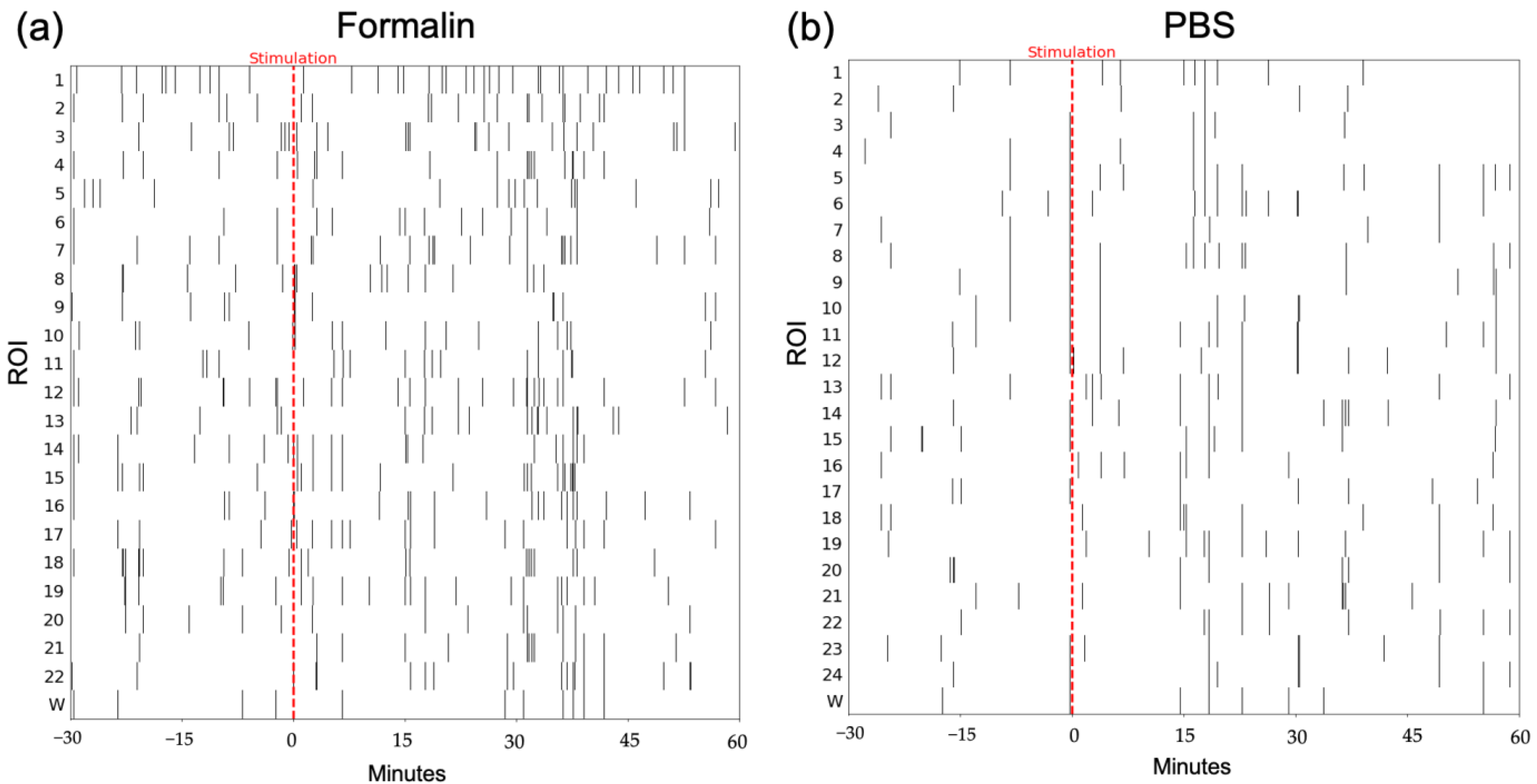 Ijms 24 06654 g006 Ijms 24 06654 g006