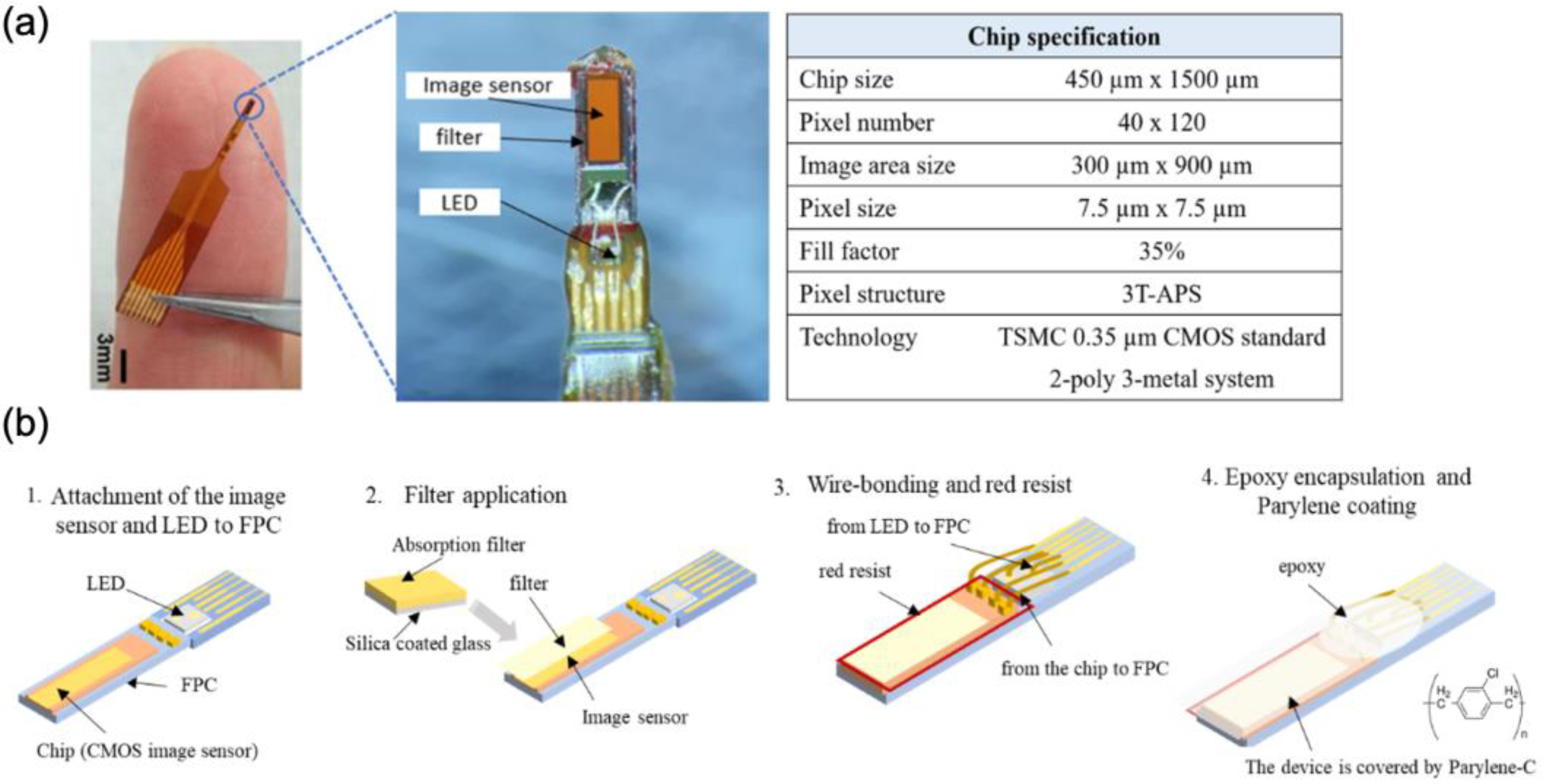 Ijms 24 06654 g009 Ijms 24 06654 g009