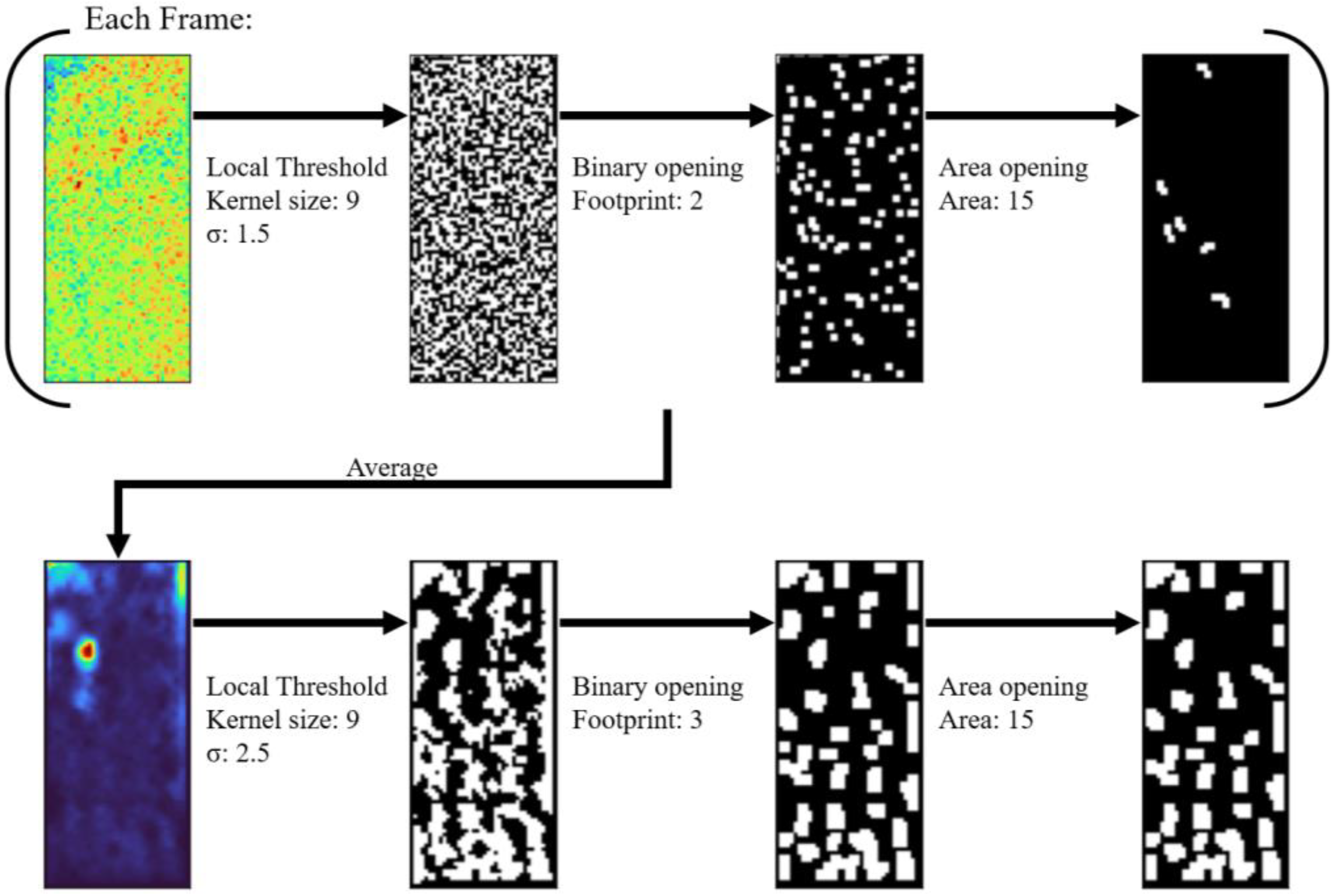 Ijms 24 06654 g011 Ijms 24 06654 g011