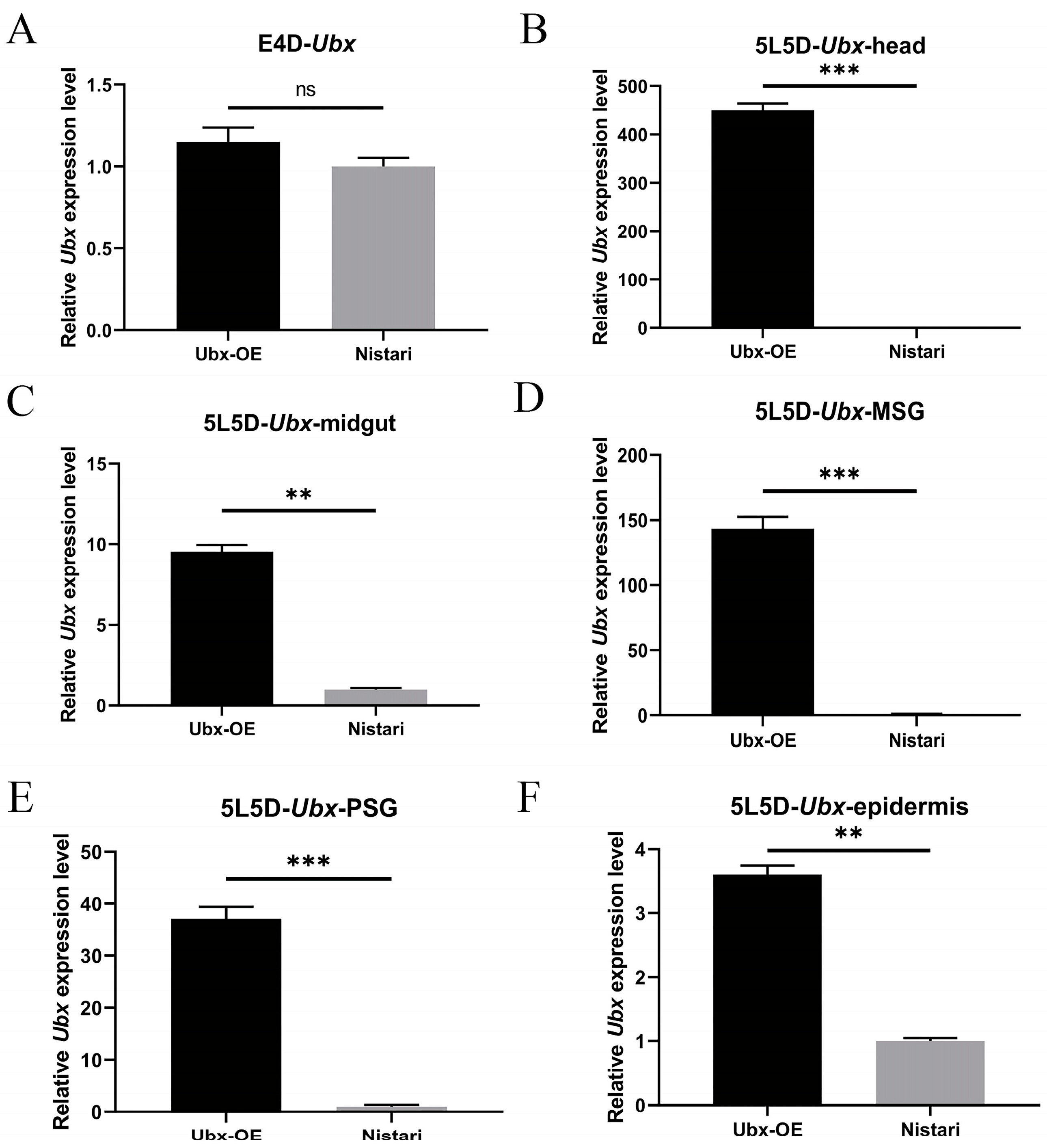Ijms 24 06670 g002 Ijms 24 06670 g002