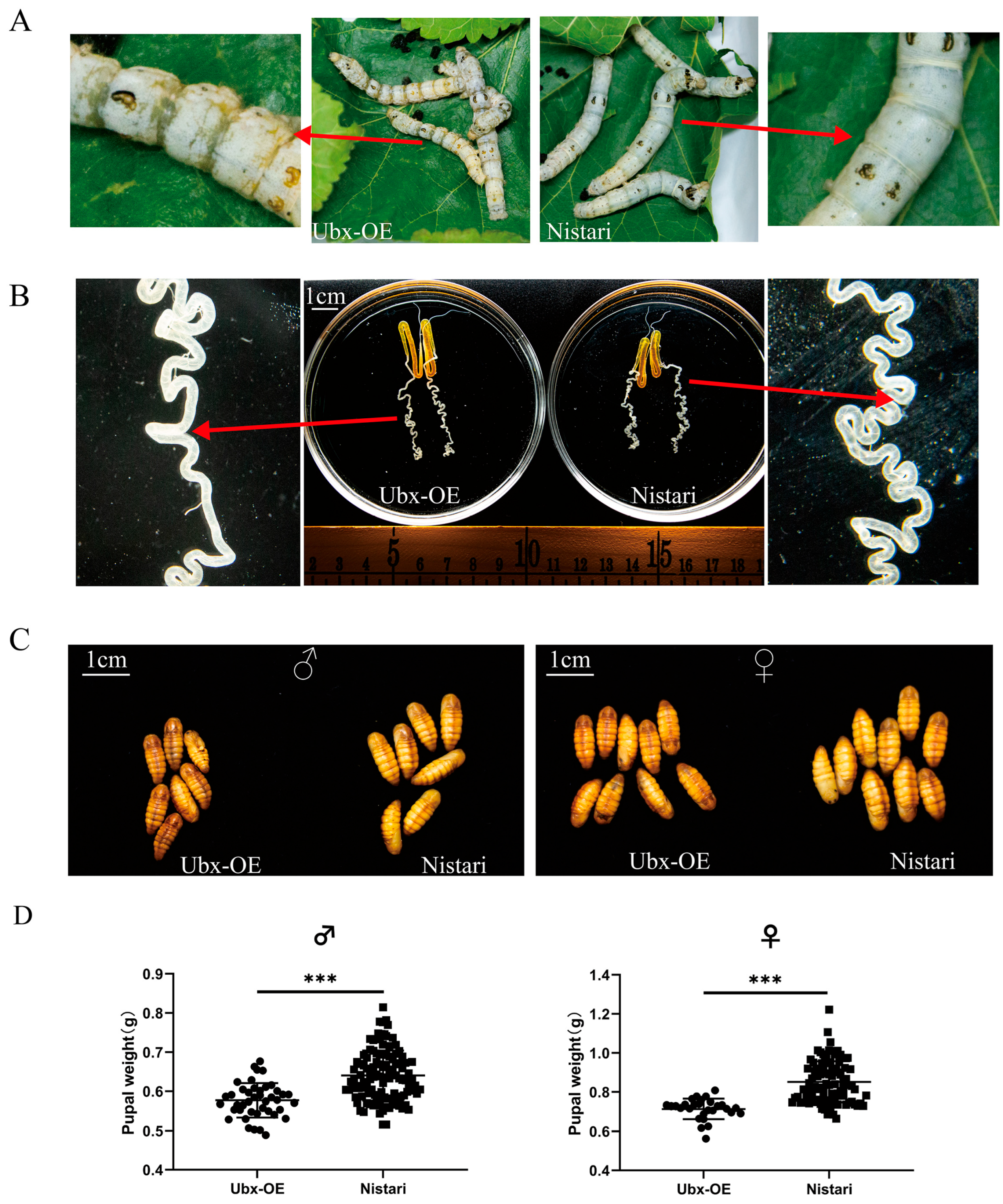 Ijms 24 06670 g003 Ijms 24 06670 g003