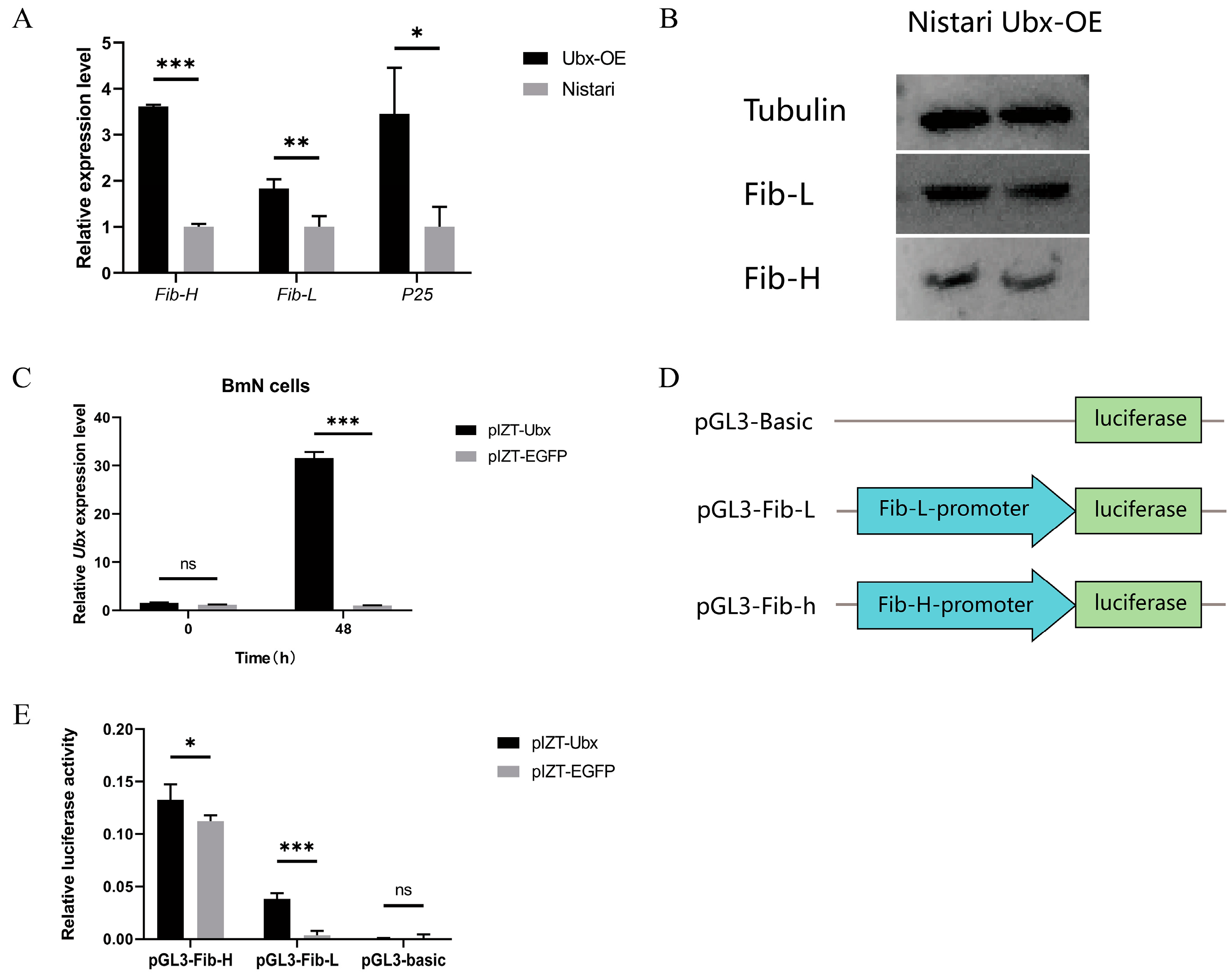 Ijms 24 06670 g004 Ijms 24 06670 g004