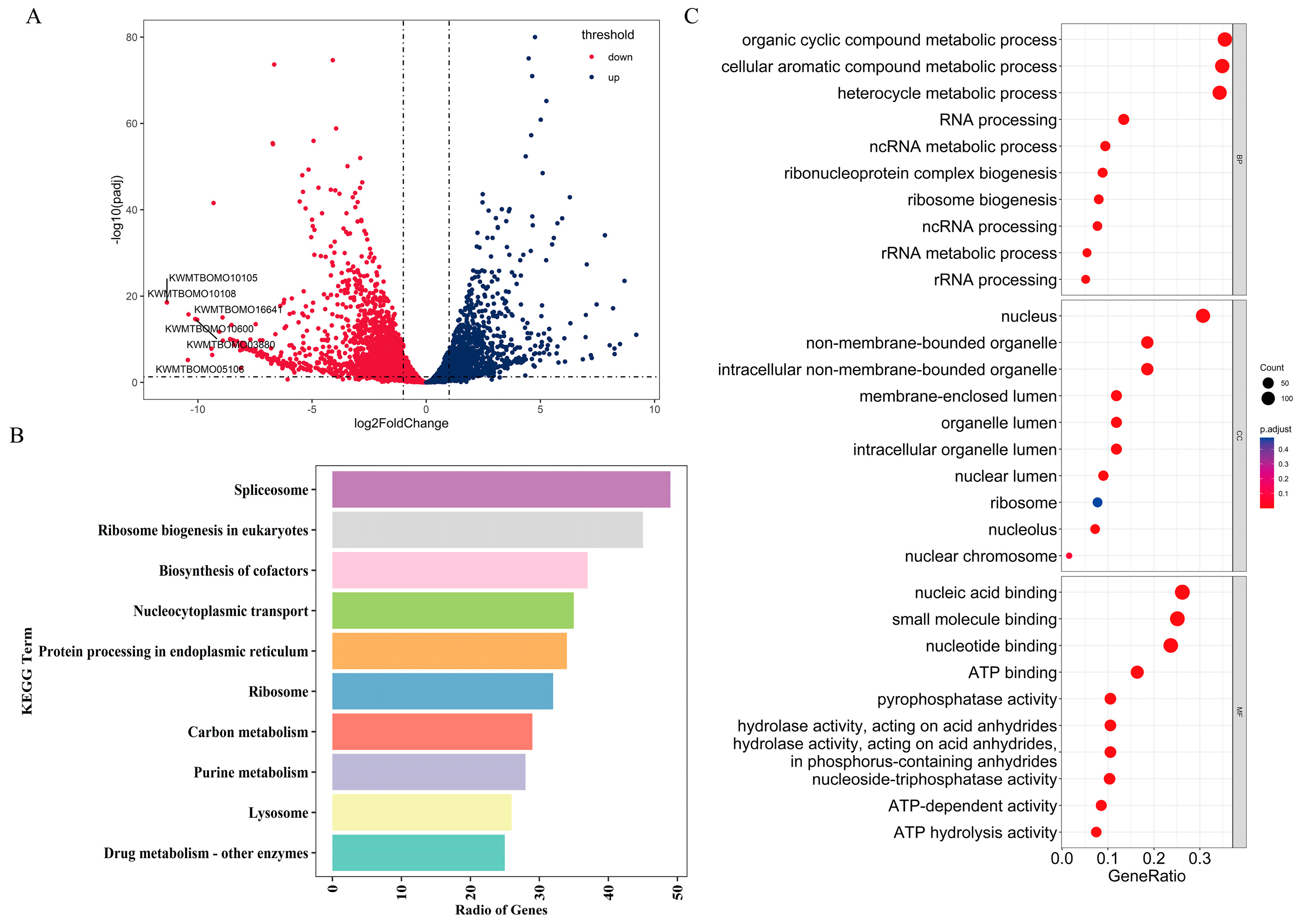 Ijms 24 06670 g005 Ijms 24 06670 g005
