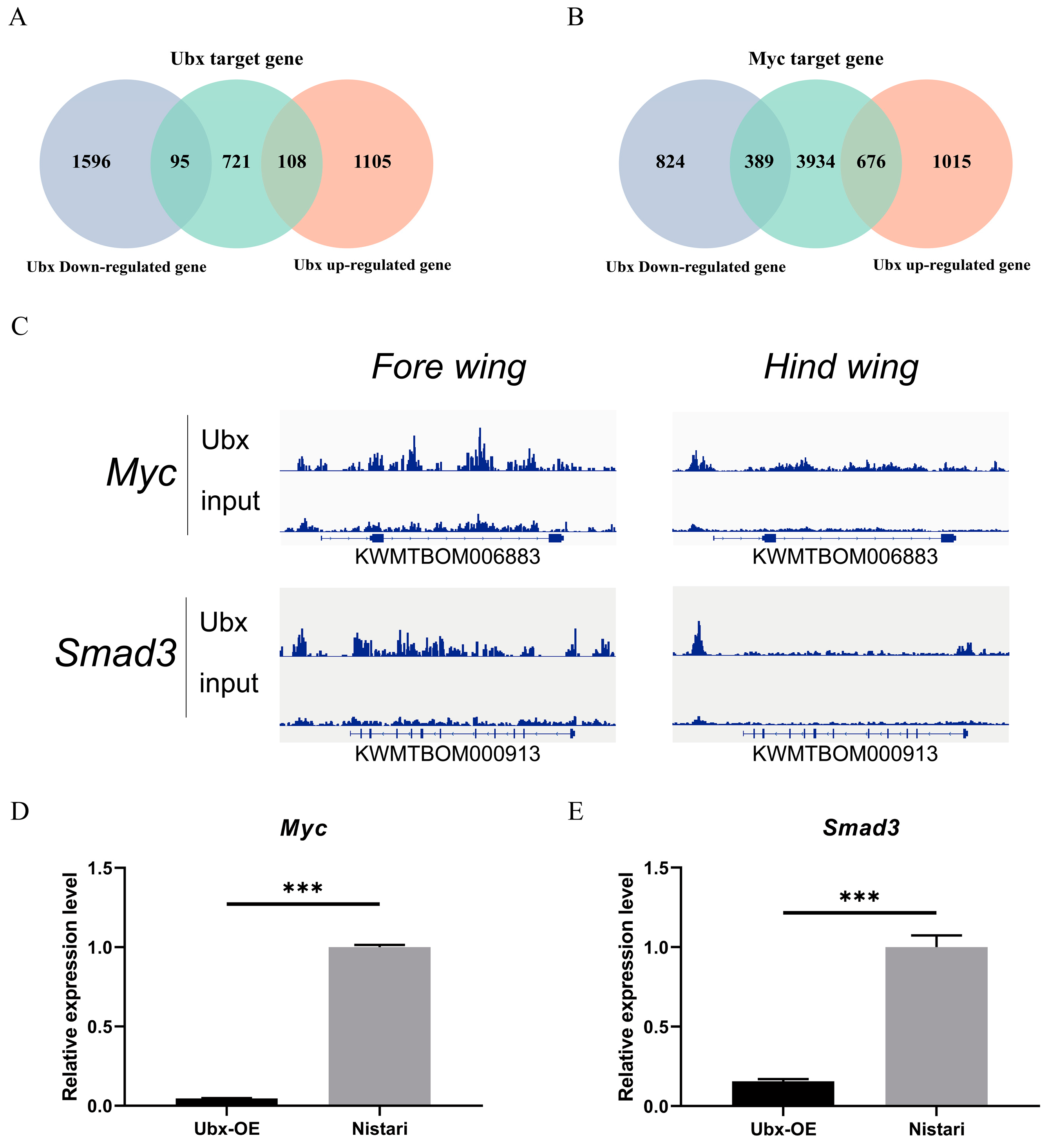 Ijms 24 06670 g006 Ijms 24 06670 g006