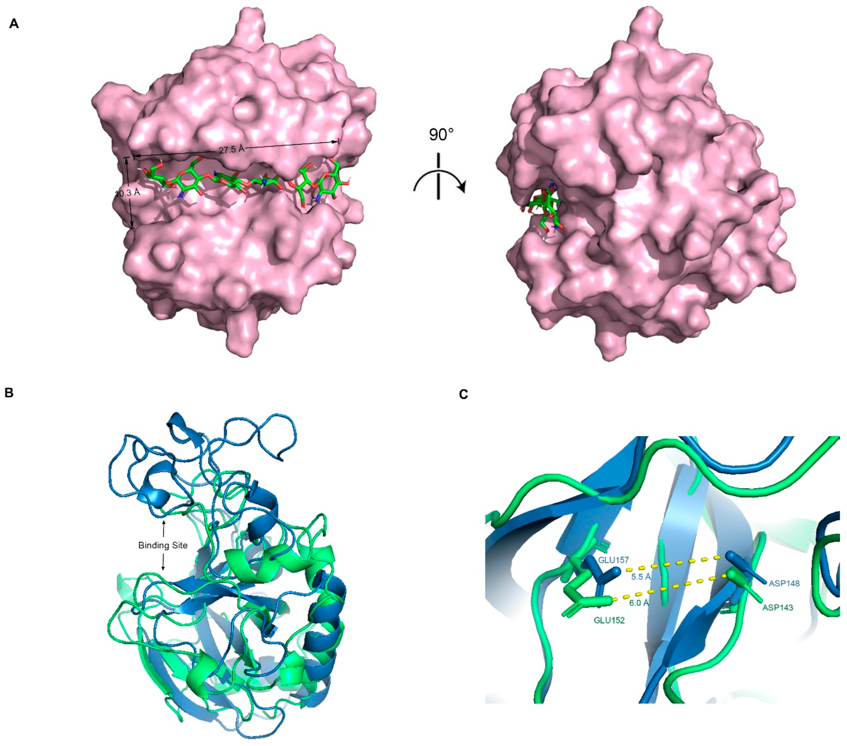 Ijms 24 06671 g003 Ijms 24 06671 g003