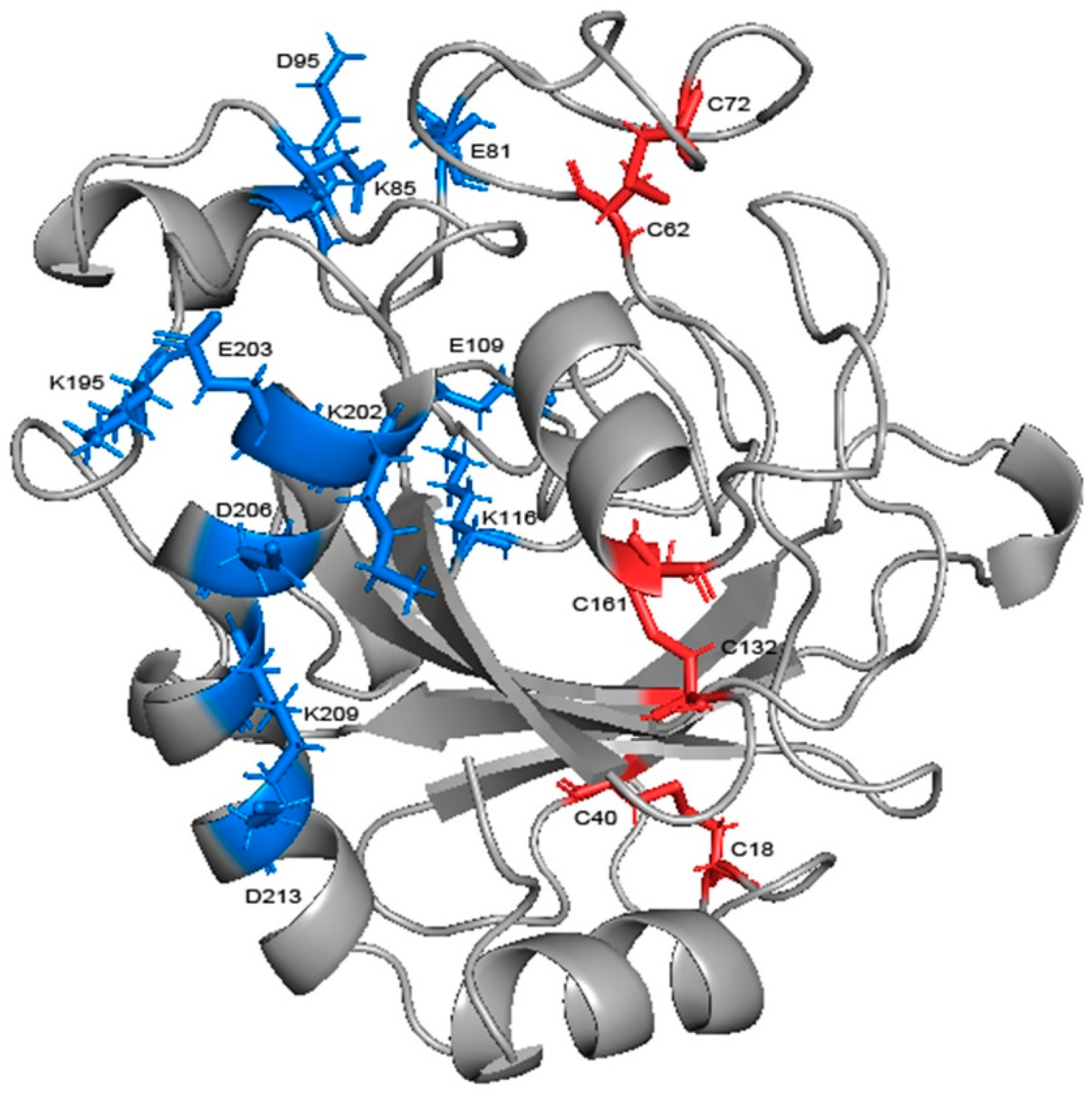 Ijms 24 06671 g011 Ijms 24 06671 g011