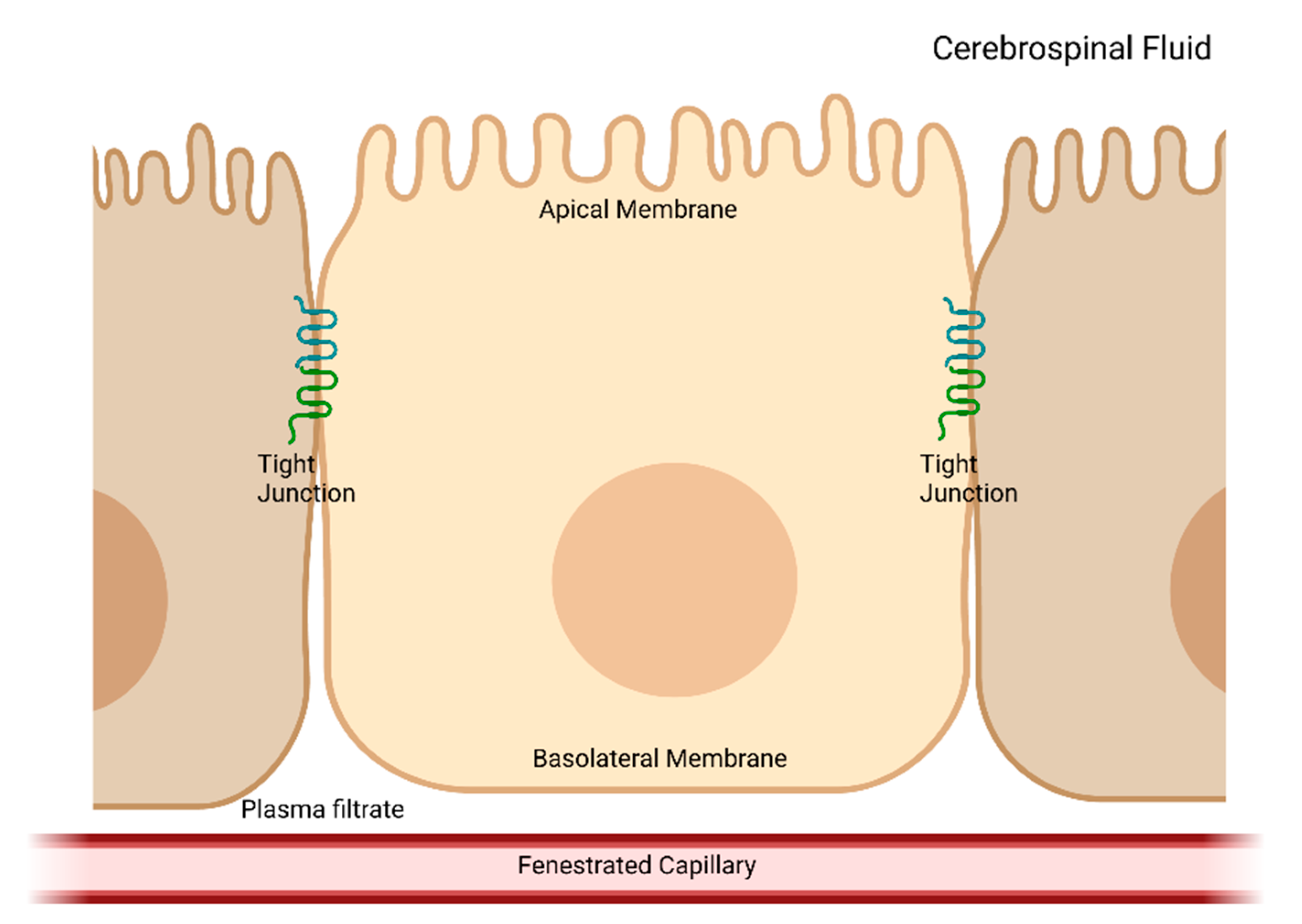 Ijms 24 06673 g001 Ijms 24 06673 g001
