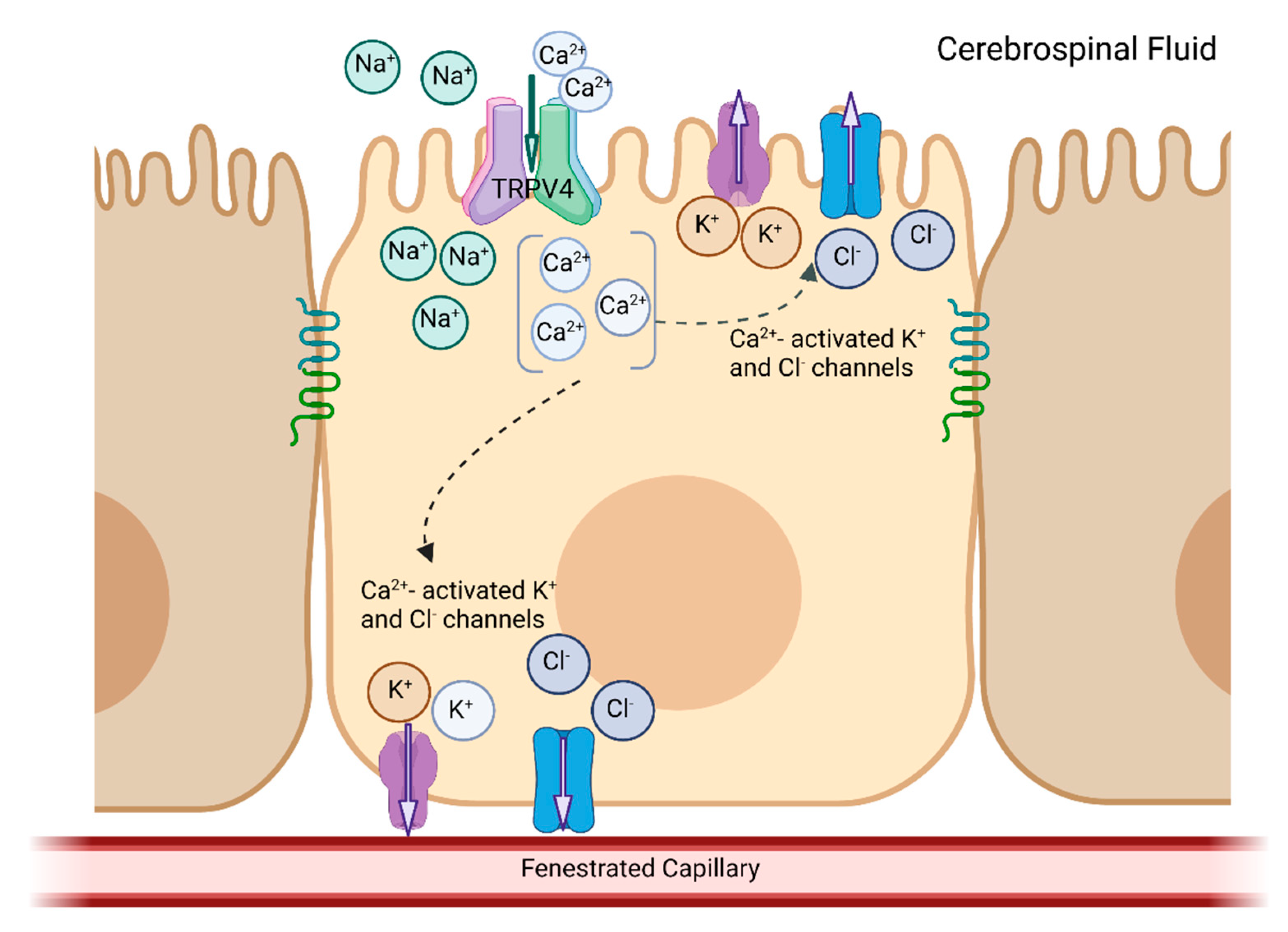 Ijms 24 06673 g002 Ijms 24 06673 g002