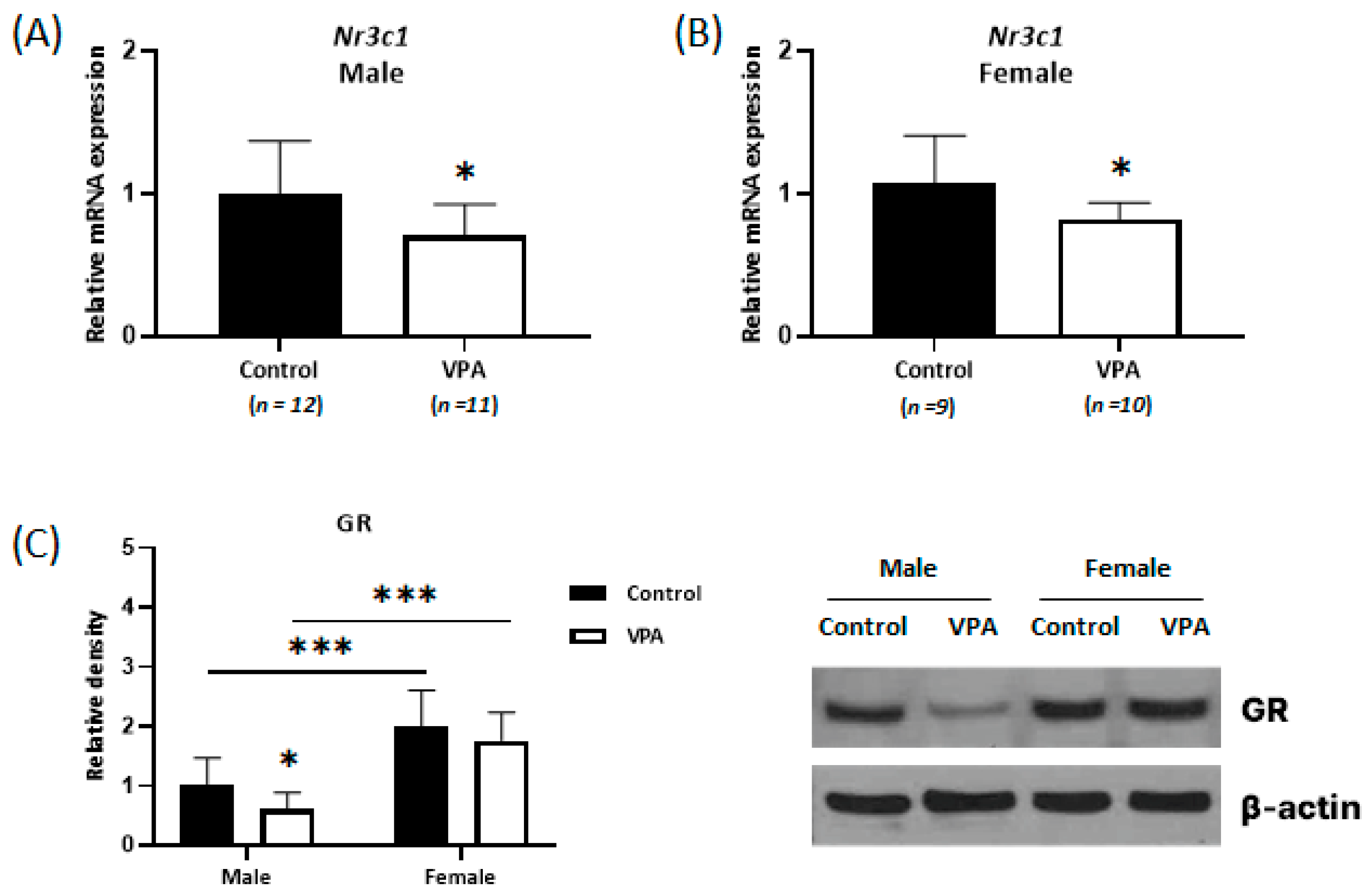 Ijms 24 06681 g003 Ijms 24 06681 g003