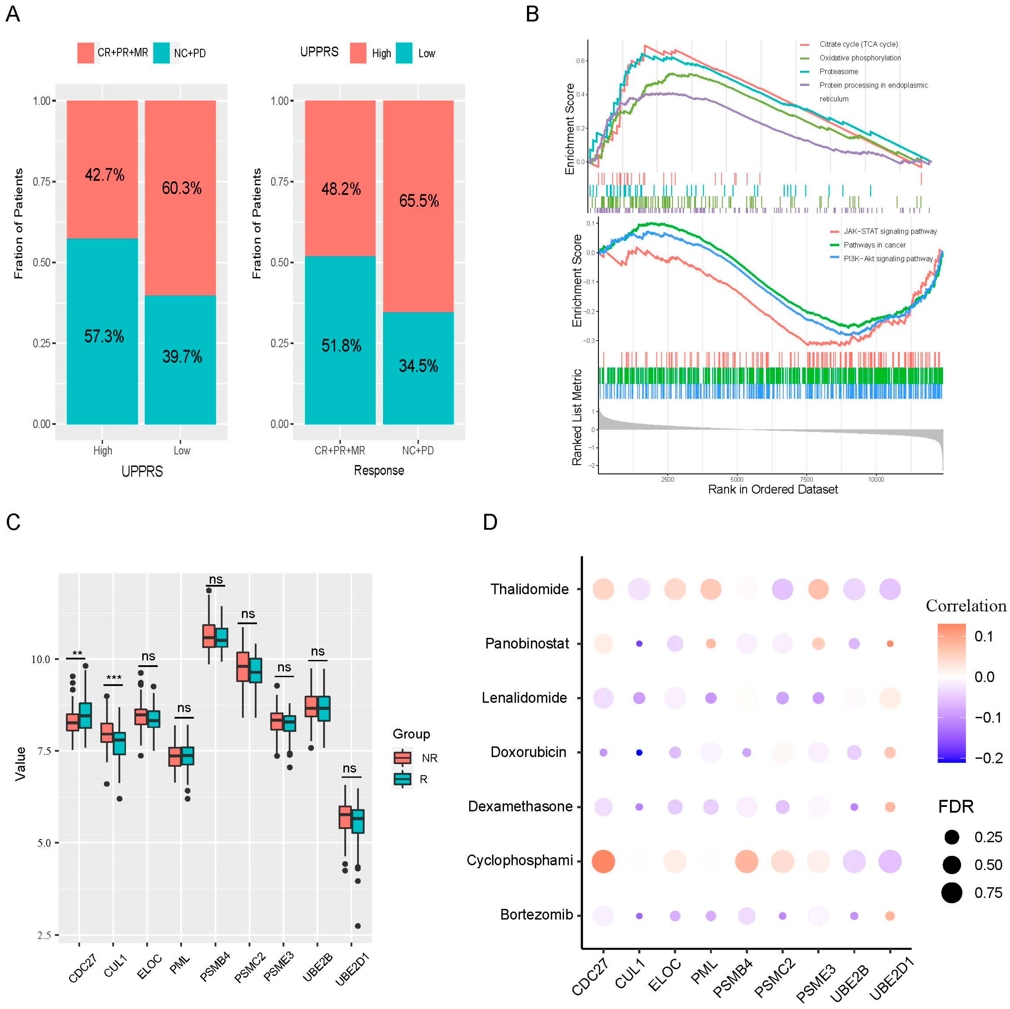 Ijms 24 06683 g004 Ijms 24 06683 g004