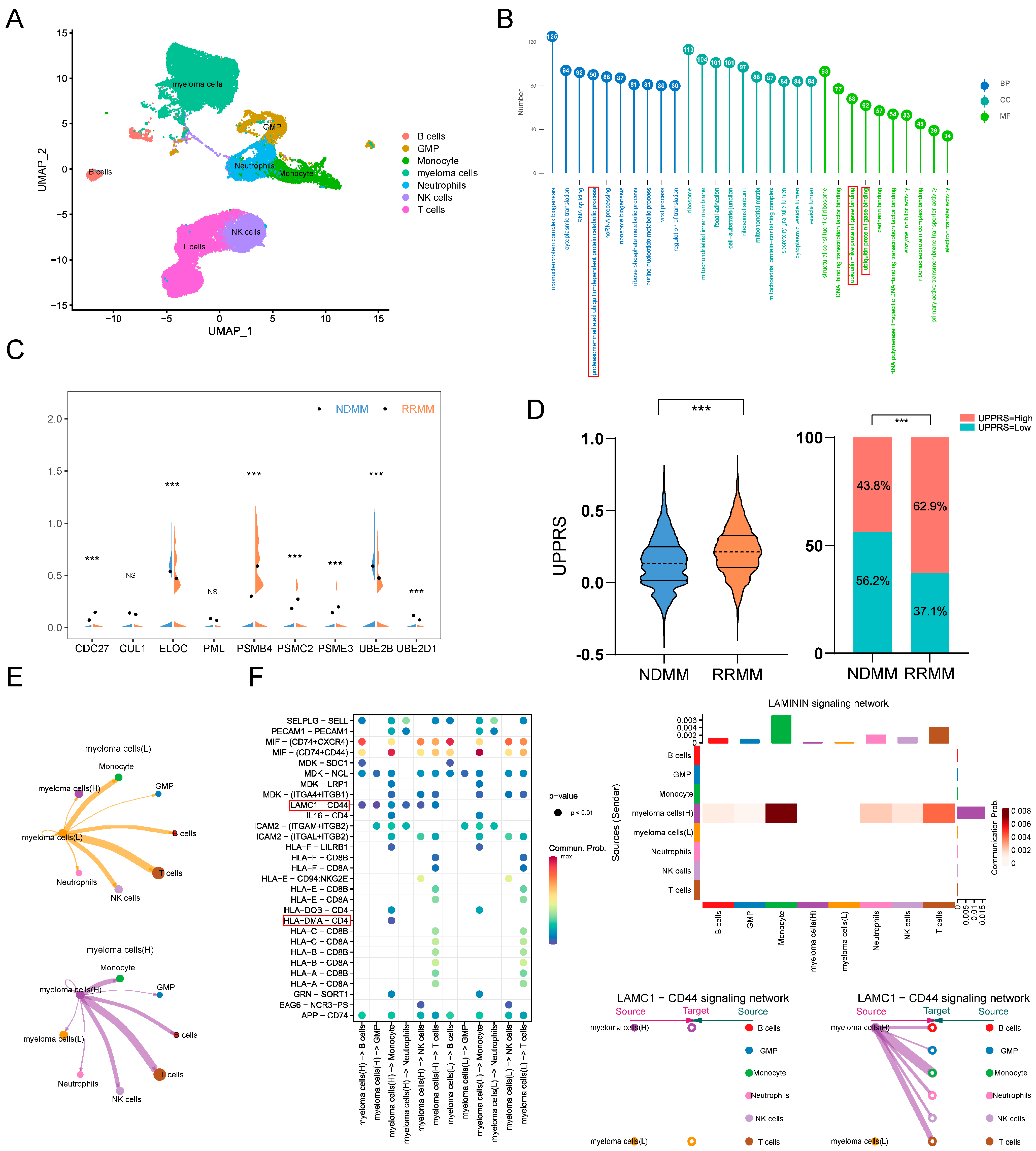 Ijms 24 06683 g007 Ijms 24 06683 g007