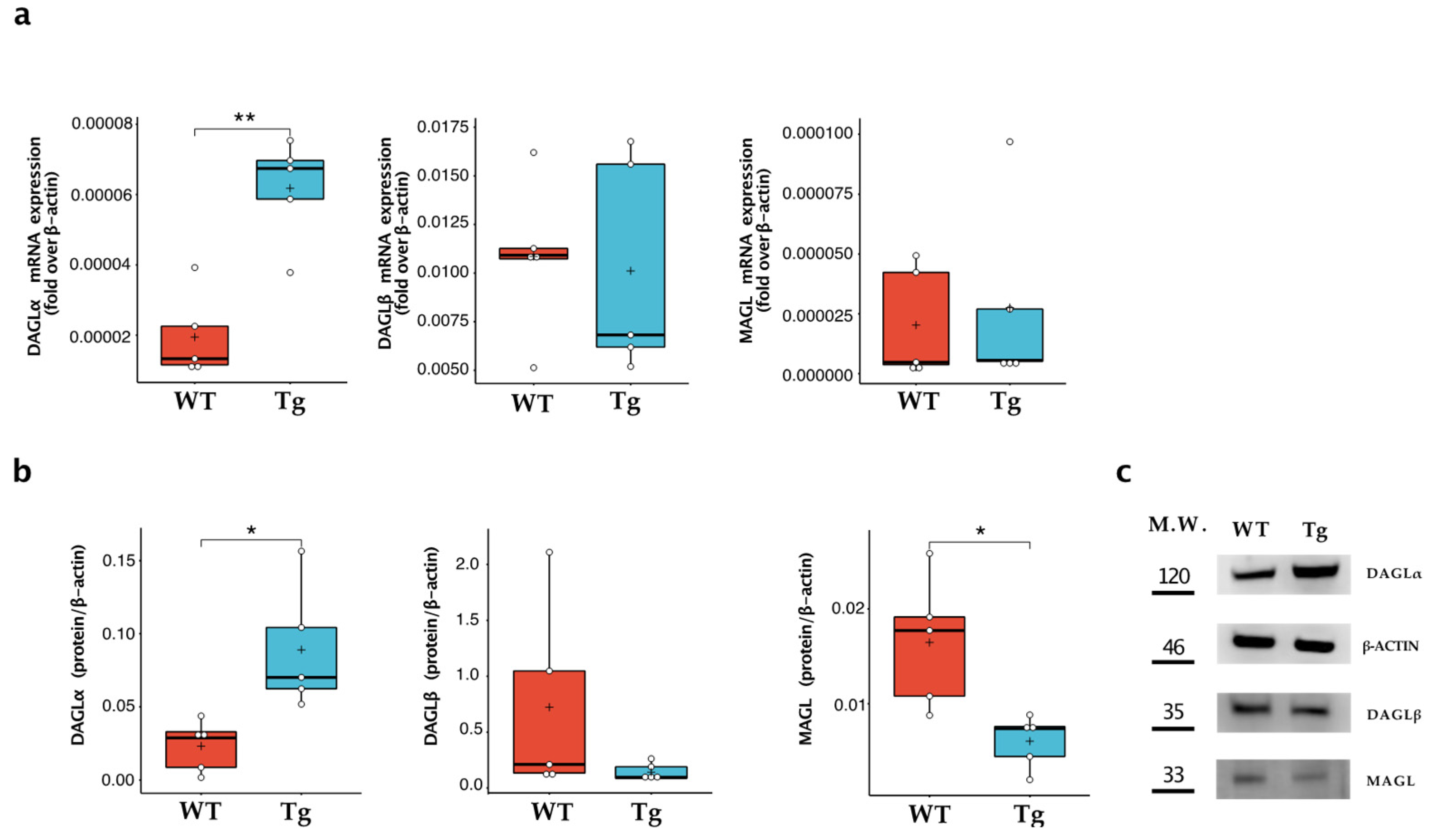 Ijms 24 06684 g002 Ijms 24 06684 g002