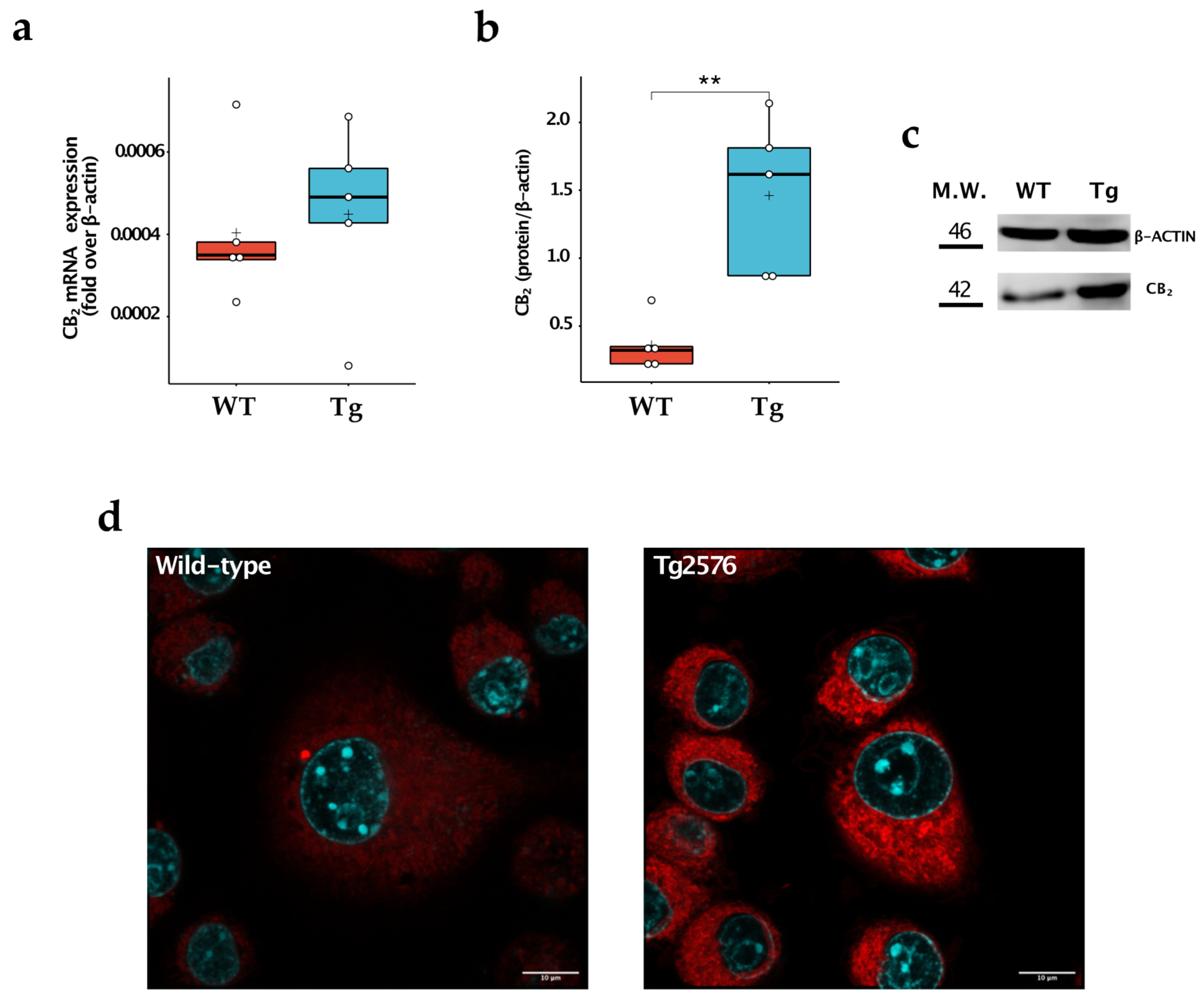 Ijms 24 06684 g003 Ijms 24 06684 g003