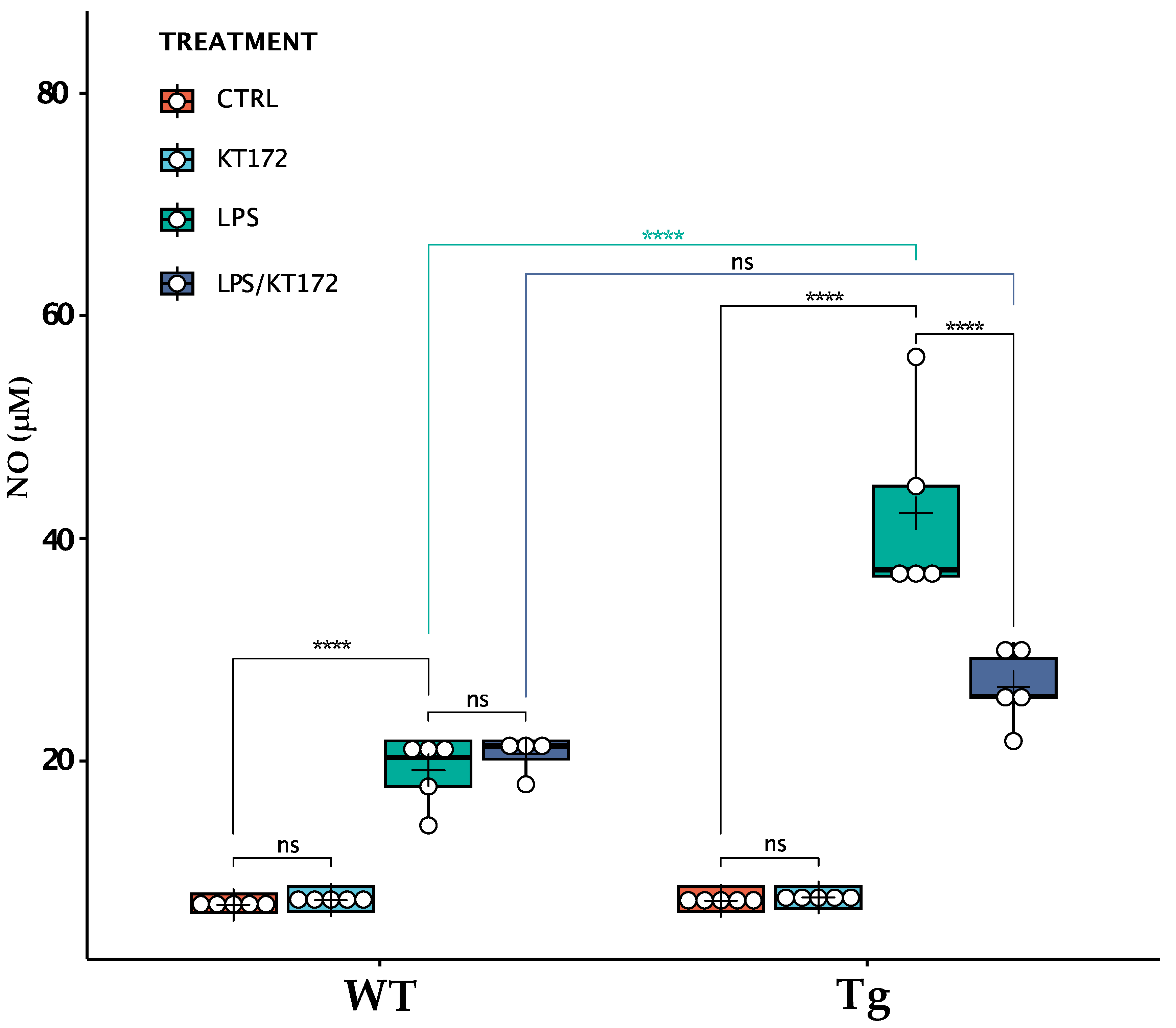 Ijms 24 06684 g004 Ijms 24 06684 g004