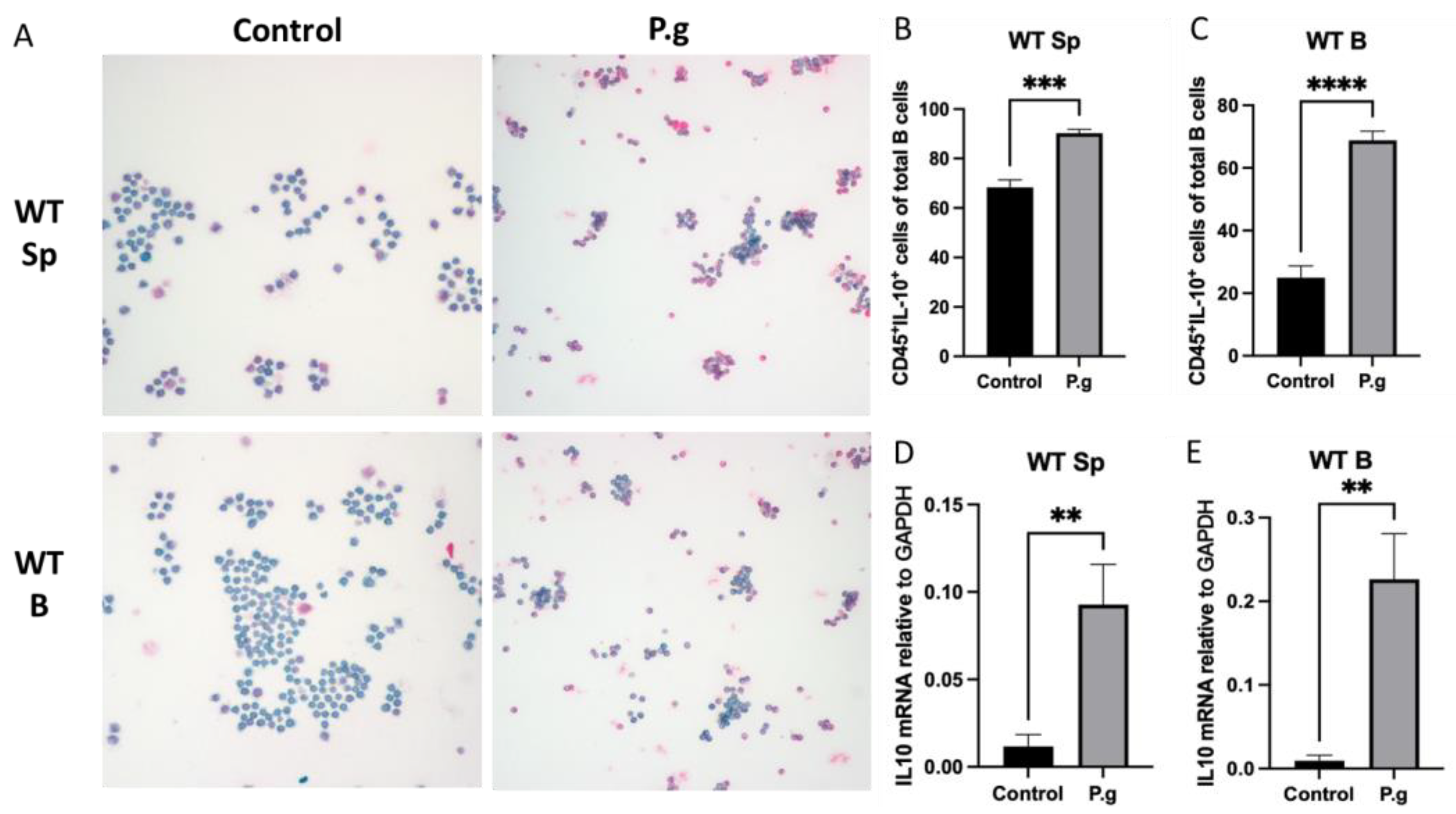 Ijms 24 06693 g001 Ijms 24 06693 g001