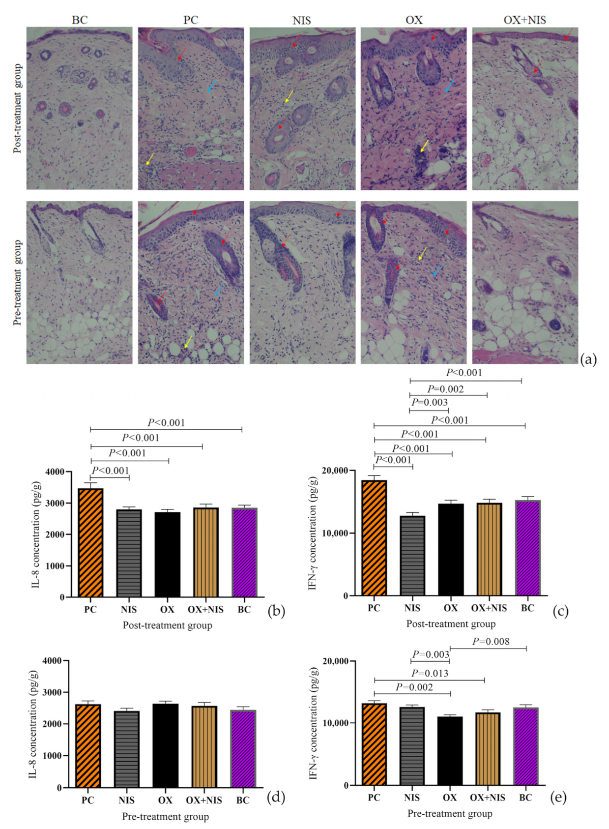 Ijms 24 06697 g007 Ijms 24 06697 g007
