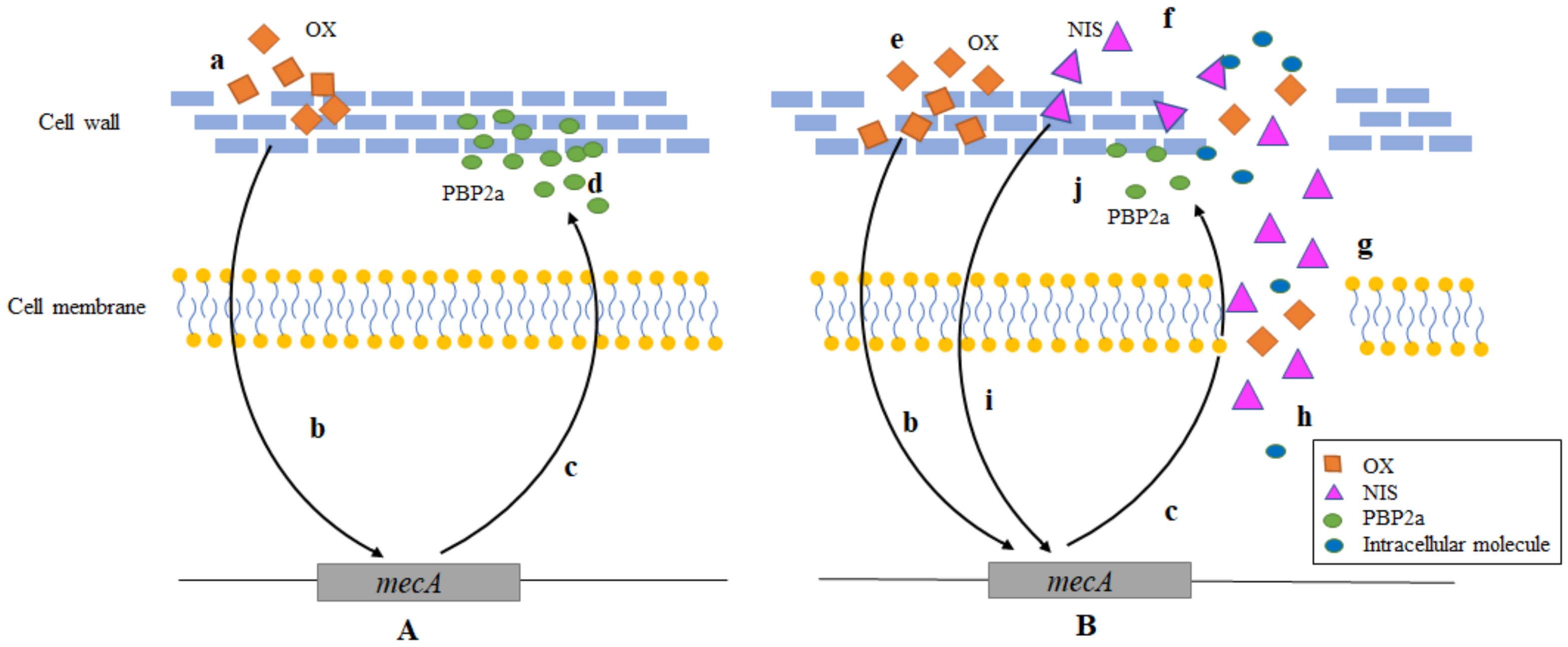Ijms 24 06697 g008 Ijms 24 06697 g008