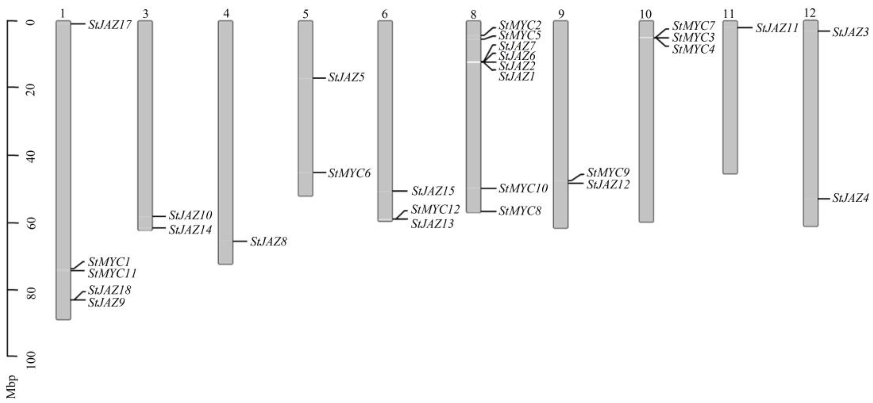 Ijms 24 06706 g001 Ijms 24 06706 g001