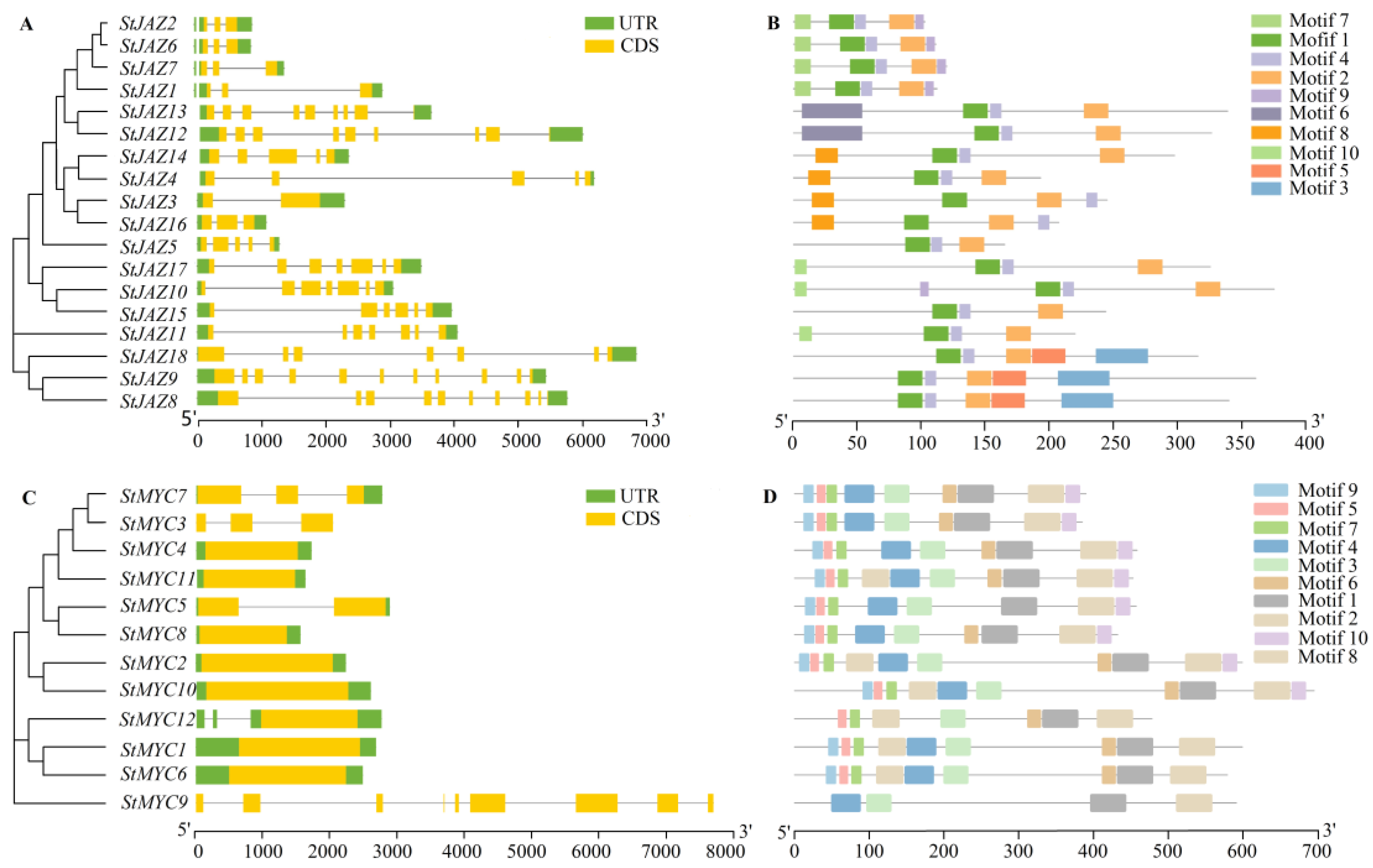 Ijms 24 06706 g003 Ijms 24 06706 g003